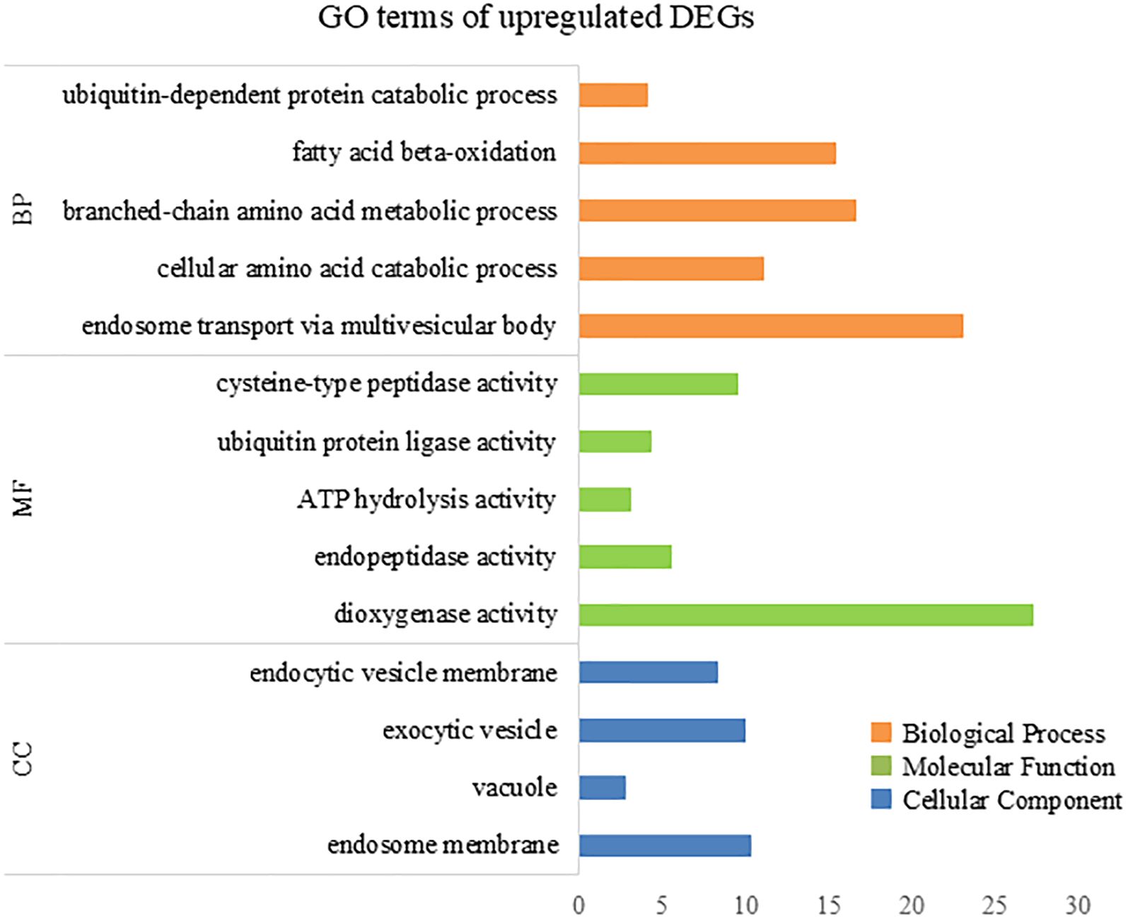 Bar chart showing Gene Ontology (GO) terms of upregulated differentially expressed genes (DEGs). Categories include Biological Process, Molecular Function, and Cellular Component, represented by orange, green, and blue bars, respectively. The chart details specific GO terms such as ubiquitin-dependent protein catabolic process and ATP hydrolysis activity, with varying frequency bars ranging from 5 to 30.