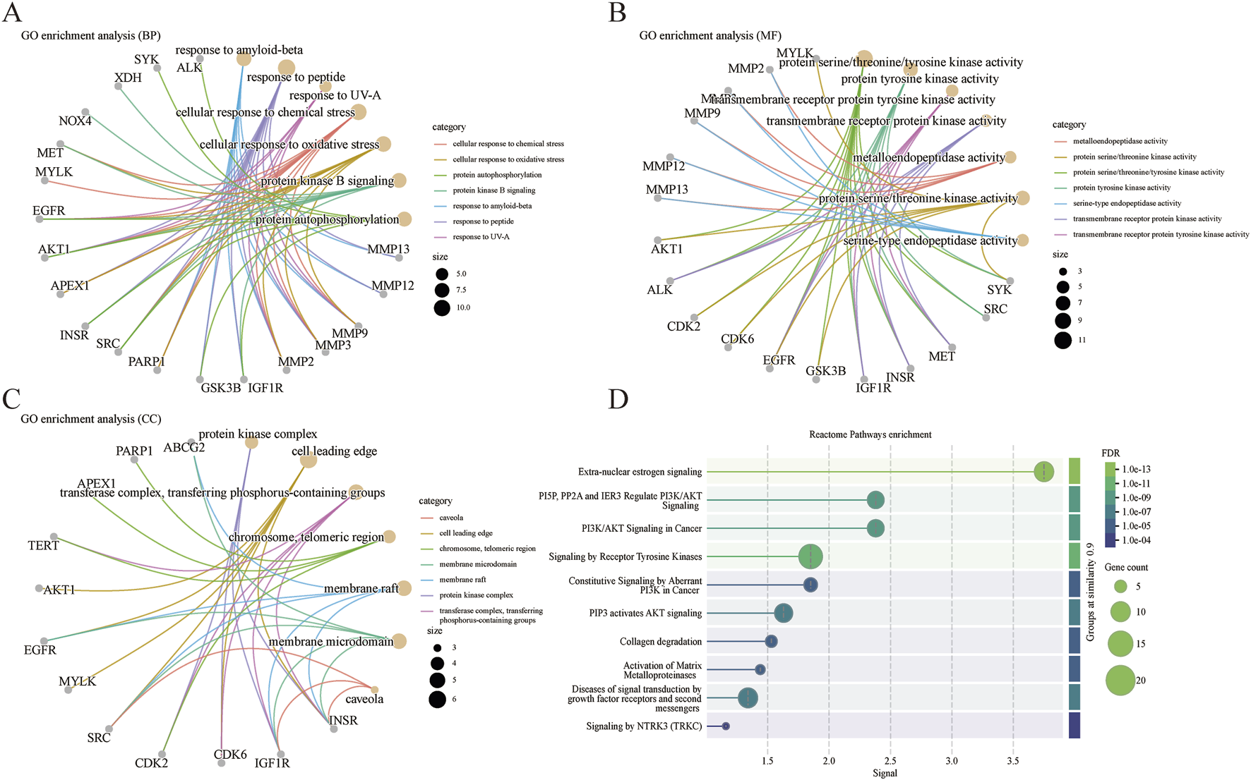 Four-panel illustration showing various analyses. Panel A displays a Gene Ontology (GO) enrichment analysis for biological processes, with nodes representing genes and their interactions. Panel B shows GO analysis for molecular functions, illustrating interactions of proteins with corresponding activities. Panel C presents GO analysis for cellular components, mapping protein complexes and cellular structures. Panel D is a Reactome pathway enrichment chart, indicating pathways like PI3K/AKT signaling, with circle sizes representing gene count and colors reflecting false discovery rates (FDR).
