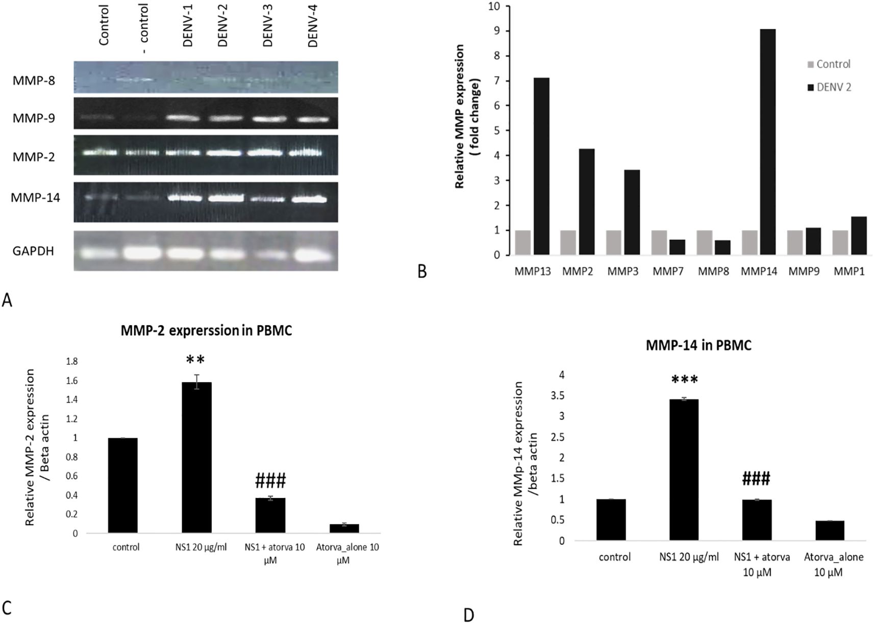 Four-part image showing data on MMP expression:  A) Gel electrophoresis bands for MMP-8, MMP-9, MMP-2, MMP-14, and GAPDH under control and DENV-1 to DENV-4 conditions.   B) Bar graph comparing relative MMP expression between control and DENV-2, showing increased expression for MMP13, MMP2, MMP3, MMP7, MMP8, MMP14, MMP9, and MMP1 in DENV-2.  C) Bar graph of MMP-2 expression in PBMC, with NS1 treatment showing higher expression compared to control and decreased expression with atorva treatment.  D) Bar graph of MMP-14 expression in PBMC, with NS1 treatment showing the highest expression compared to other conditions.