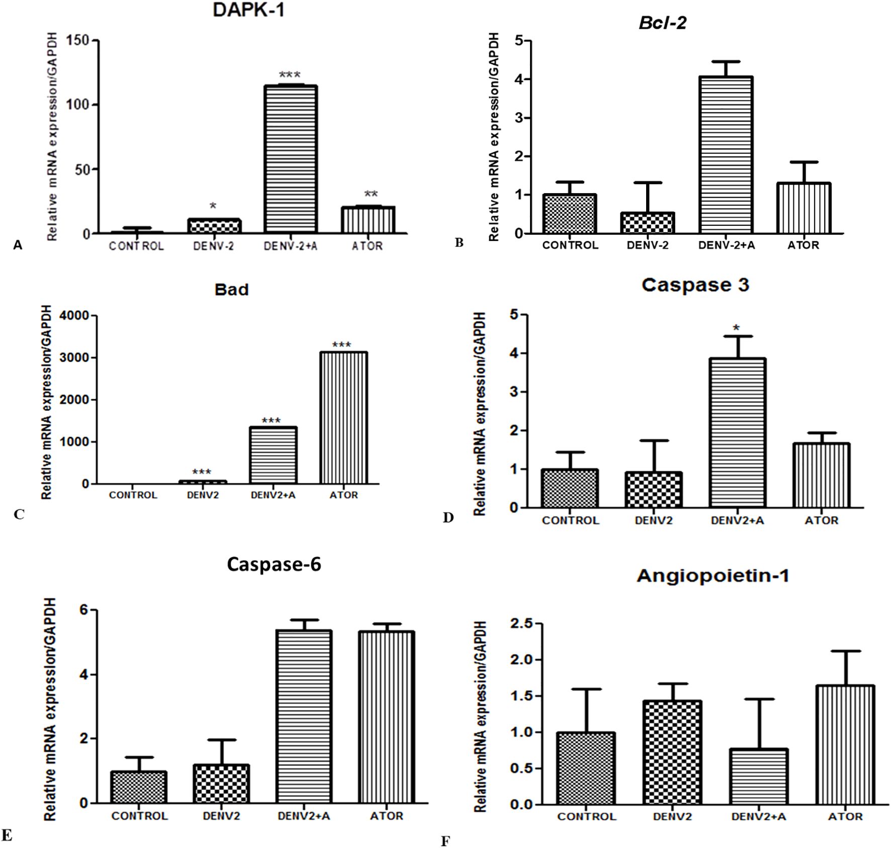 Six bar graphs showing relative mRNA expression of various genes normalized to GAPDH. Graph A shows DAPK-1 with high expression in the DENV-2+A group. Graph B presents Bcl-2 with increased expression in DENV-2+A. Graph C depicts Bad with elevated levels in DENV-2+A and ATOR. Graph D shows Caspase 3 with higher expression in DENV-2+A. Graph E illustrates Caspase-6 with similar expression in DENV-2+A and ATOR. Graph F shows Angiopoietin-1 with variable, but not pronounced differences among groups: CONTROL, DENV-2, DENV-2+A, and ATOR. Asterisks indicate statistical significance.