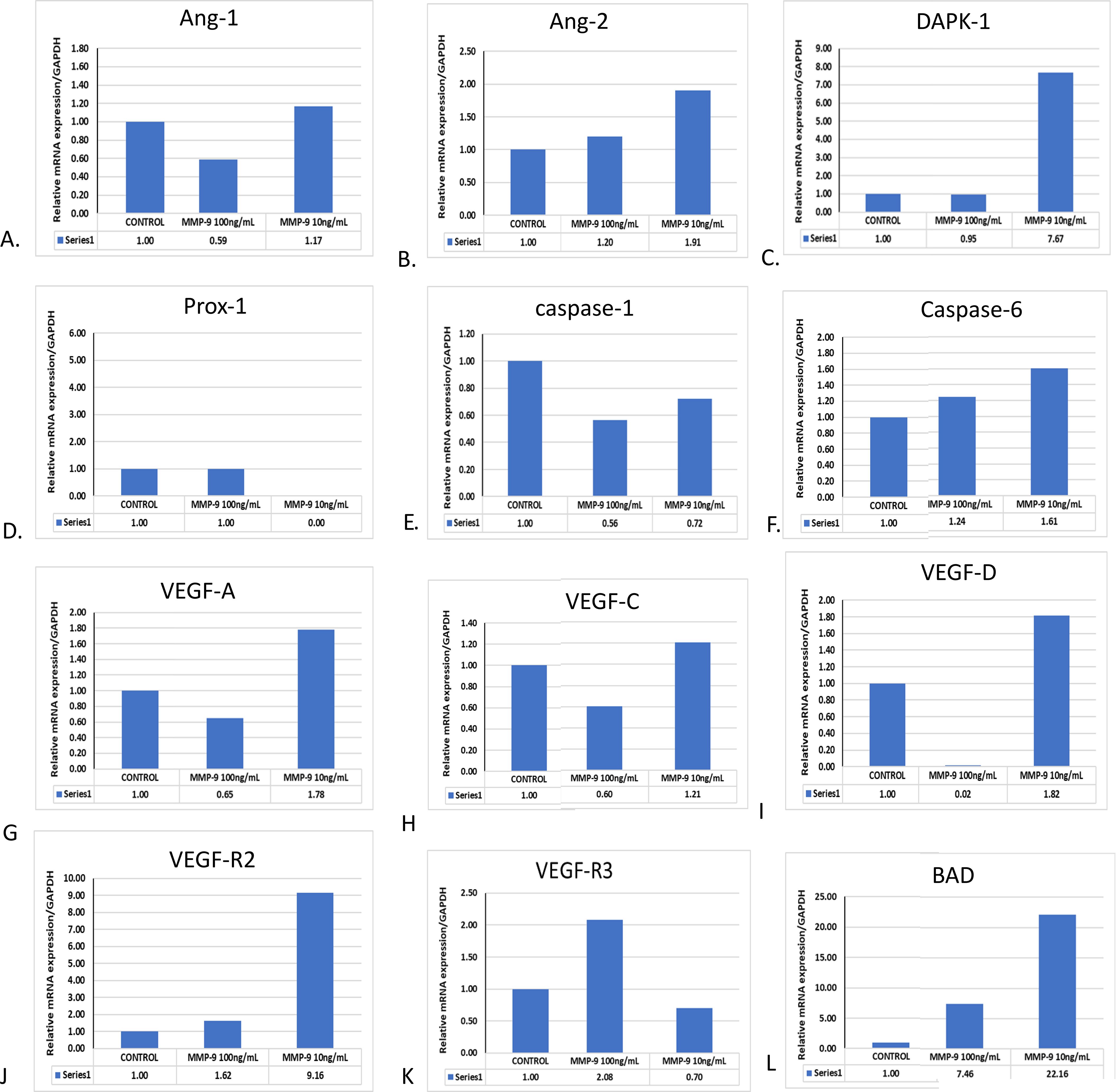 Grouped bar charts depict relative mRNA expression levels of various genes normalized to GAPDH. Each chart compares a control group with two treatment groups: MMP-9 at one hundred nanograms per milliliter and MMP-9 at ten nanograms per milliliter. Graphs include Ang-1, Ang-2, DAPK-1, Prox-1, caspase-1, caspase-6, VEGF-A, VEGF-C, VEGF, VEGF-R2, VEGF-R3, and BAD. Treatments generally show varied expression changes across each gene, with specific increases or decreases noted in comparison to the control.