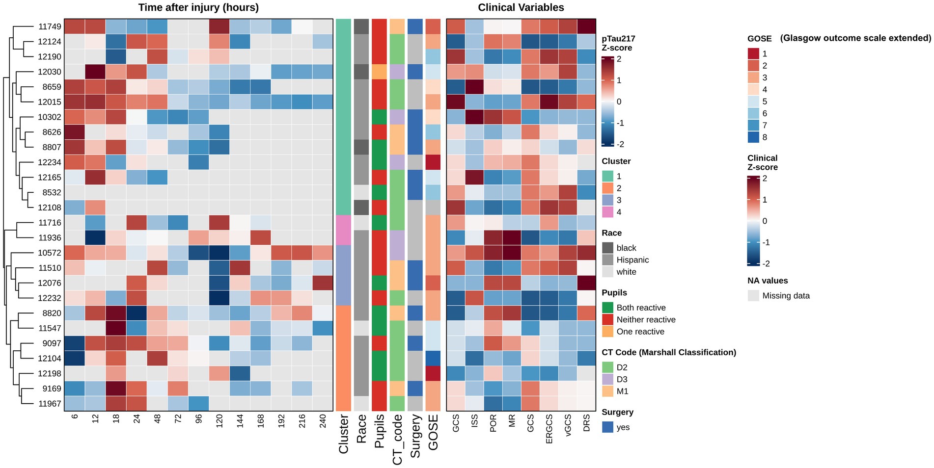 Heatmap displaying clinical data related to time after injury and various variables. Rows represent individual cases, and columns indicate time points and clinical variables like cluster, race, pupils, CT code, surgery, and Glasgow outcome scale extended (GOSE). Colors represent pTau217 Z-scores and clinical Z-scores, with a scale from -2 (blue) to 2 (red). Missing data is marked in gray. The dendrogram on the left clusters the cases.