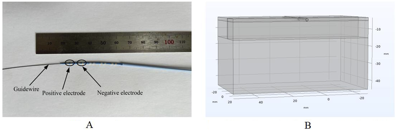 Panel A shows a guidewire with a ruler for scale, labeled with positive and negative electrodes. Panel B presents a 3D model of a rectangular space marked with millimeter measurements on each axis.