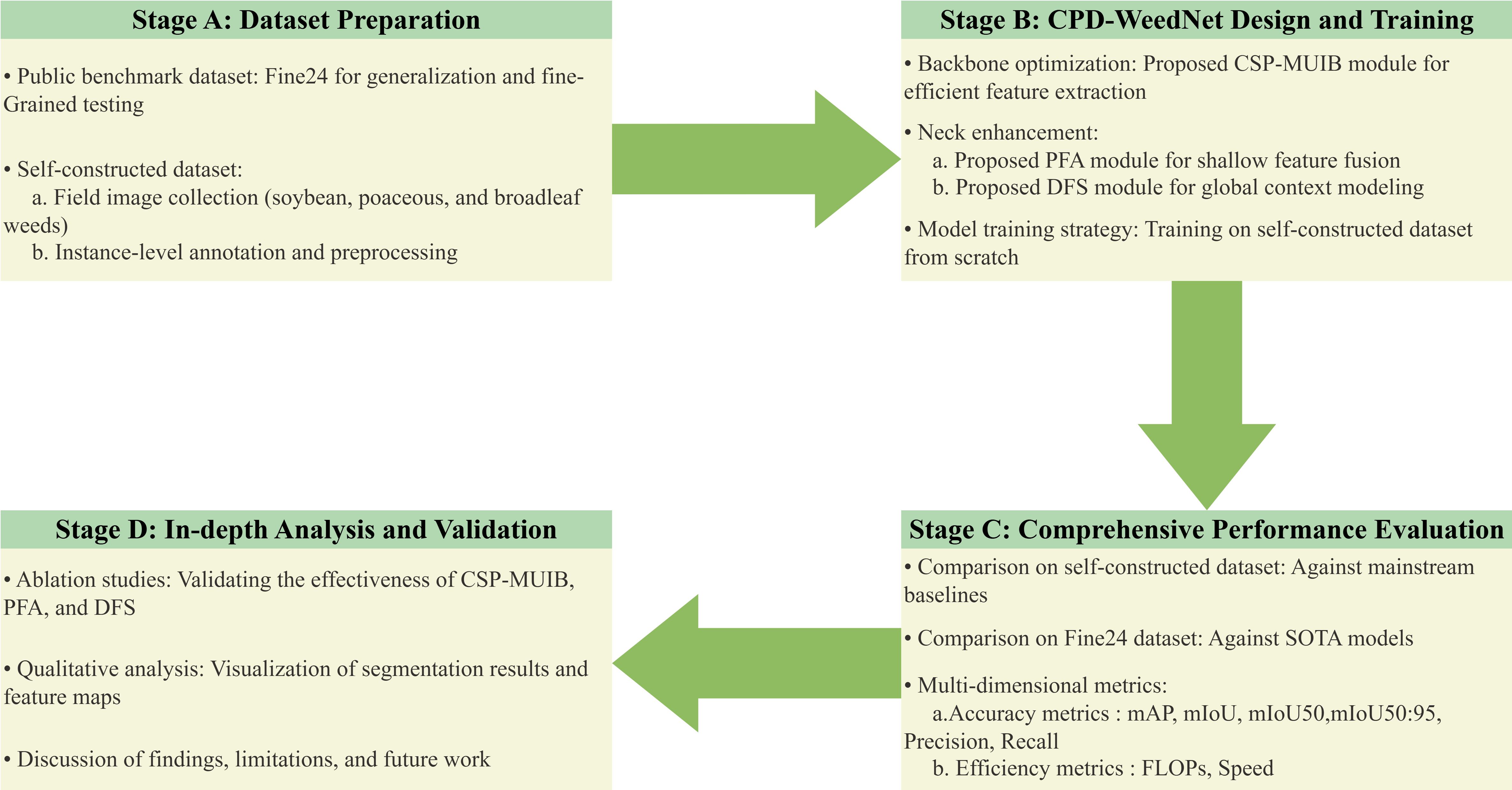 Flowchart illustrating a four-stage process for CPD-WeedNet. Stage 1: Dataset Preparation involves using public and self-constructed datasets for testing, including field image collection and preprocessing. Stage 2: CPD-WeedNet Design and Training features backbone optimization with CSP-MUIB, neck enhancements with PFA and DFS modules, and model training on self-constructed datasets. Stage 3: Comprehensive Performance Evaluation includes comparison with baselines, multi-dimensional metrics like accuracy and efficiency metrics. Stage 4: In-depth Analysis and Validation discusses ablation studies, qualitative analysis, and future work. Arrows indicate progression between stages.