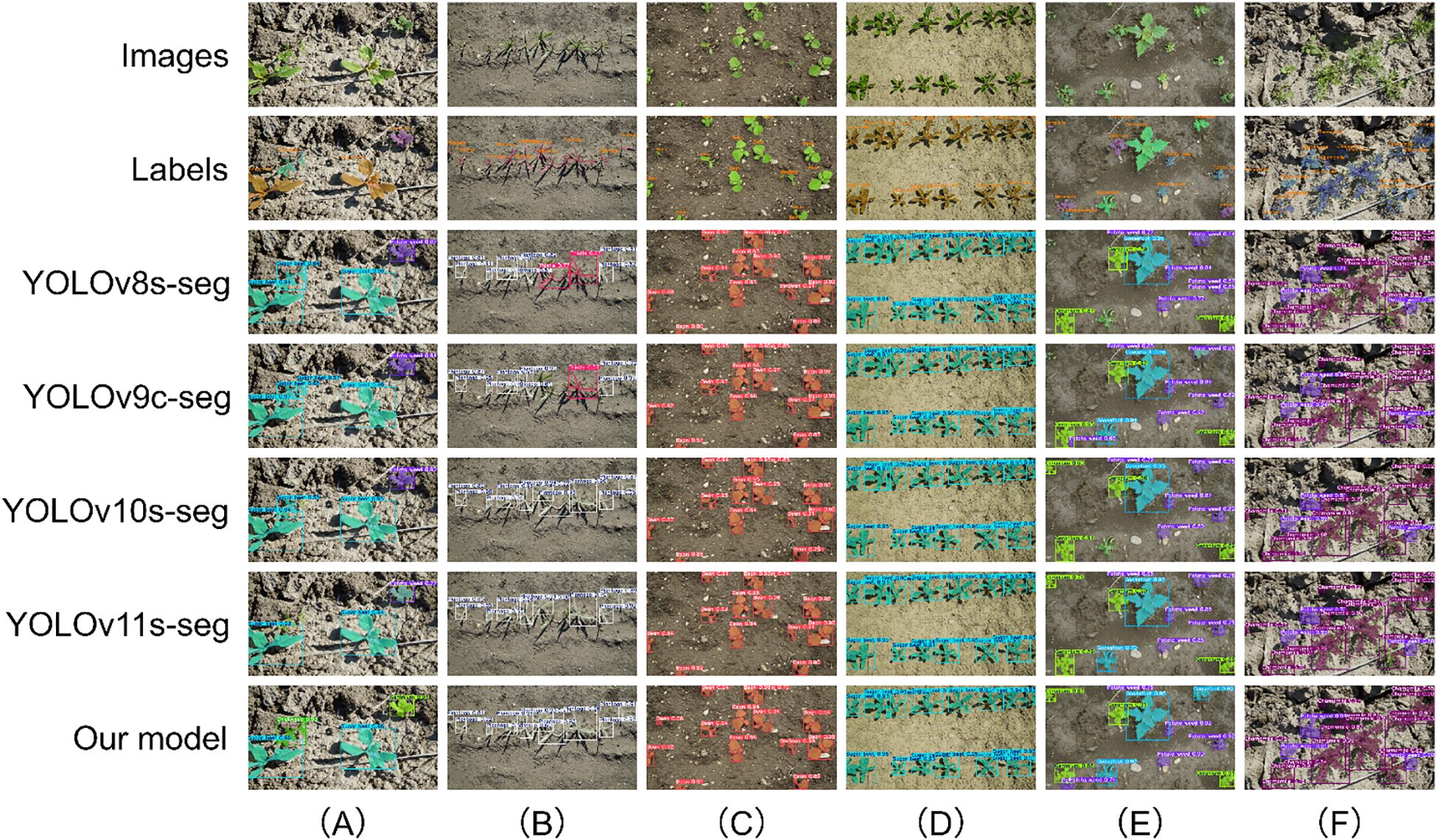 Comparison grid of image segmentation models for plant leaf detection: First row shows original images; second displays labeled segments; subsequent rows show outputs from YOLOv8s-seg, YOLOv9c-seg, YOLOv10s-seg, YOLOv11s-seg, and a custom model. Columns (A) to (F) represent different plant scenarios. Each model's performance varies in accuracy and clarity.