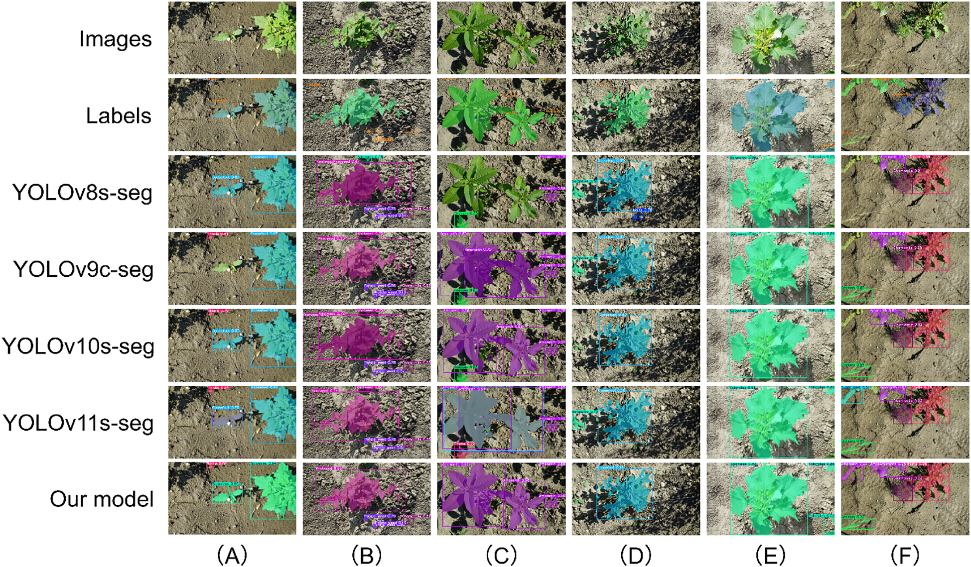 Comparison of segmentation results from different models on plant images. Rows represent different models: YOLOv8s-seg, YOLOv9c-seg, YOLOv10s-seg, YOLOv11s-seg, and “Our model”. Columns A to F show different plant scenarios, with each model's segmentation output presented. The first row shows unmodified images, followed by labeled images for comparison. Each output uses distinct colors to highlight the plants and their boundaries against a soil background.