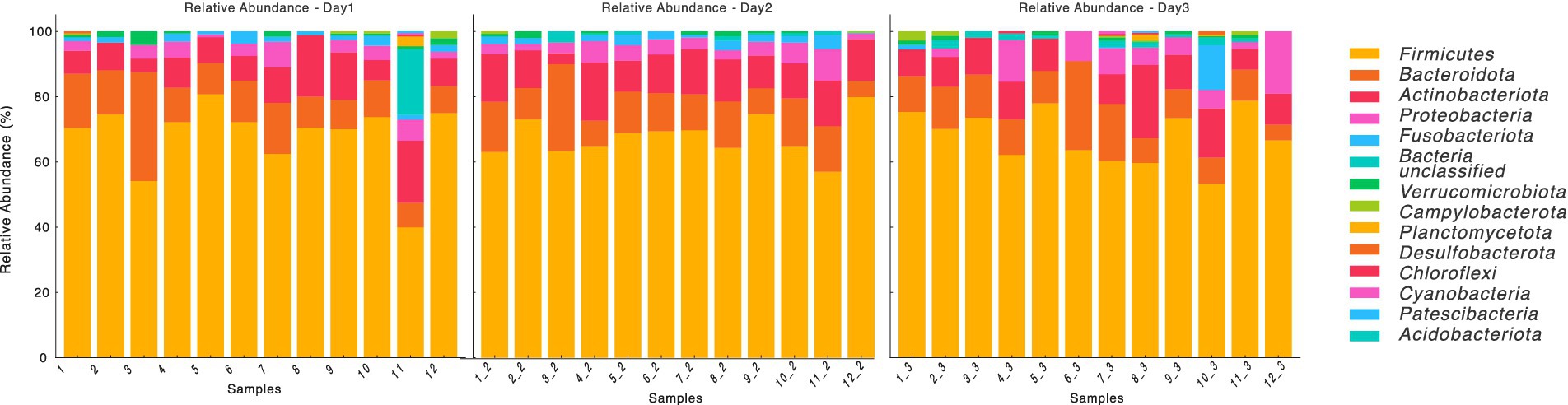 The stacked bar plots represent the relative abundance of various bacterial taxa at the phylum level across different samples (labeled 1 to 12) on Day 1, Day 2, and Day 3. The taxa are color-coded and displayed in the legend on the right and Relative abundance is expressed as a percentage on the y-axis.
