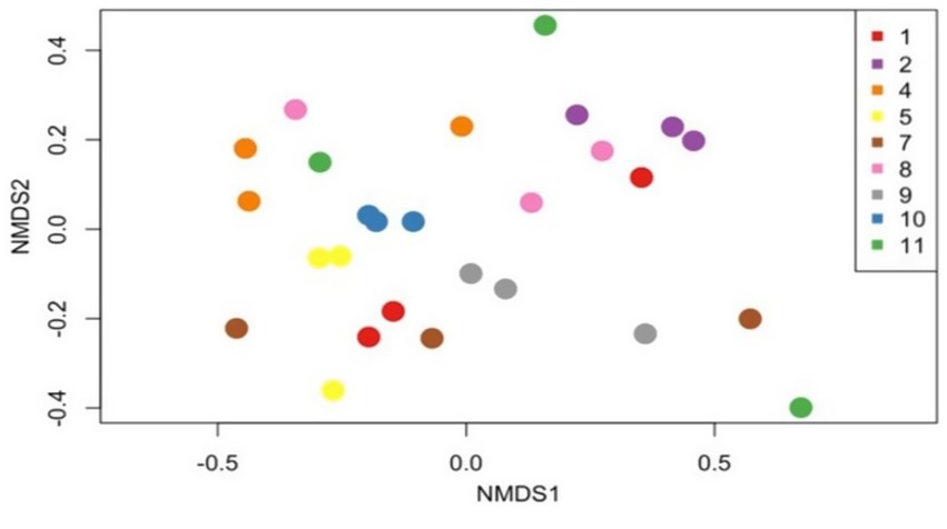 The non-metric multidimensional scaling (NMDS) plot illustrates Bray-Curtis dissimilarity indices, depicting the gut microbiota composition over three consecutive days in seven dogs. Each point on the plot represents the microbial composition of a sample, with colors denoting individual dogs (as shown in the legend). The PERMANOVA results (p = 0.98) indicate no significant day-to-day differences in the microbiota composition.