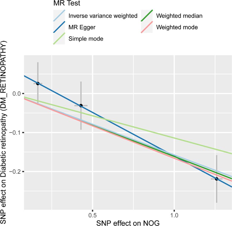Scatter plot illustrating the SNP effect on diabetic retinopathy (DM_RETINOPATHY) against the SNP effect on NOG. It features several Mendelian randomization test lines: inverse variance weighted (blue), MR Egger (dark blue), simple mode (green), weighted median (pink), and weighted mode (red). Data points with error bars are plotted along the lines.
