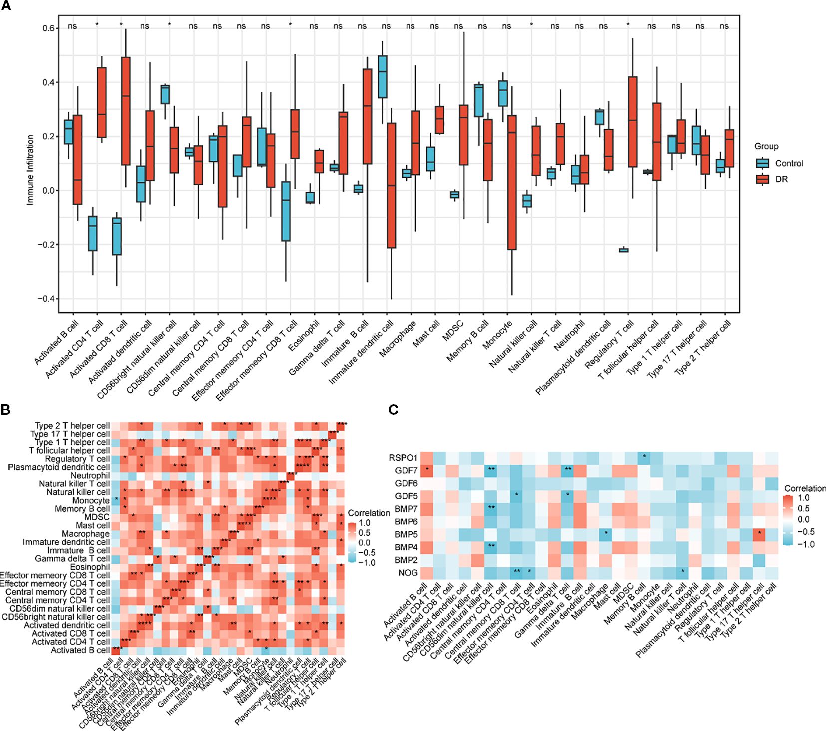 Panel A presents a box plot comparing immune infiltration levels between Control and DR groups across various immune cell types. Panel B displays a heatmap depicting correlations among different immune cell types. Panel C offers a heatmap showing correlations between gene expressions and immune cell types. Color gradients indicate the degree of correlation, ranging from negative to positive.