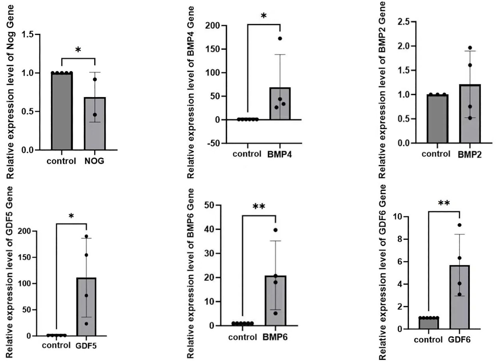 Bar graphs comparing mRNA expression levels of NOG, BMP4, BMP2, GDF5, BMP6, and GDF6 between control and experimental groups. Significant differences are indicated by asterisks. Each graph includes error bars and individual data points. Axes are labeled in Chinese.