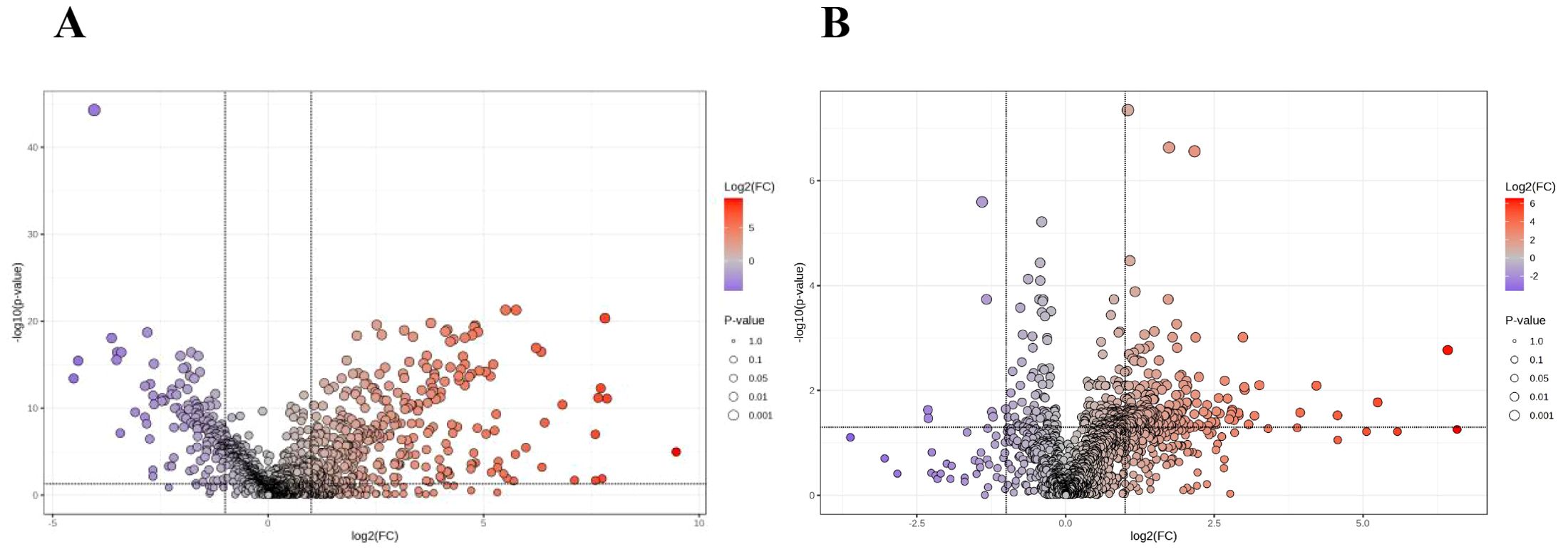 Two panels labeled A and B show volcano plots. Panel A displays data points representing log2 fold change against negative log10 p-value, with colors ranging from purple to red, indicating varying fold changes. Panel B also presents similar data with a different scale, emphasizing distinct data point distributions. Both plots include legends for color and p-value significance.