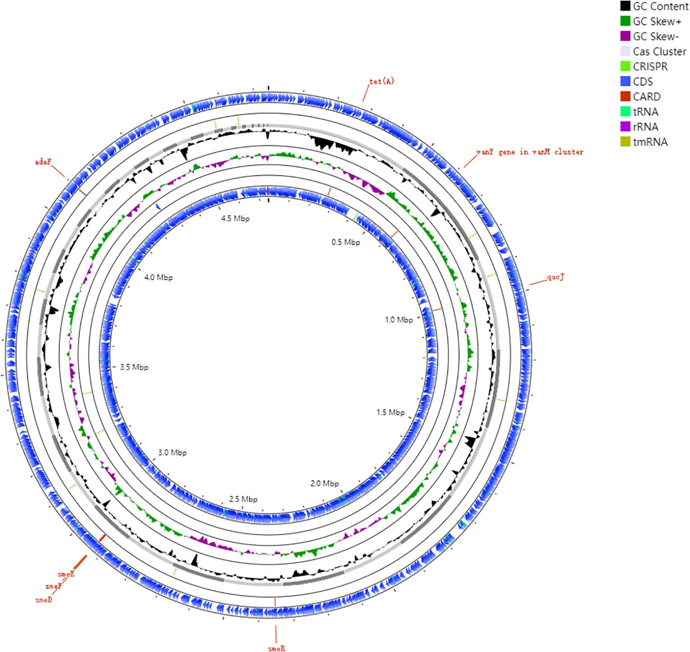Circular genome map of *P. pleromaleus* with concentric rings illustrating various genomic features. Outer ring shows GC content; next rings display GC skew, CRISPR, coding sequences, Cas clusters, and different RNA types. Color-coded legend on the right denotes feature types. Key gene locations are highlighted in red. The map is labeled with genomic positions at intervals from 0.5 to 5.0 Mbp.