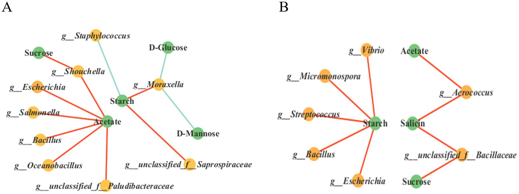 Two network graphs labeled A and B. Graph A shows connections between compounds like sucrose, acetate, and various bacteria genera, including Staphylococcus and Moraxella, with different colored lines indicating connections. Graph B displays interactions involving compounds like starch, acetate, and bacteria genera such as Vibrio and Streptococcus, also connected with colored lines. Each graph features nodes representing either chemical compounds or bacterial genera.