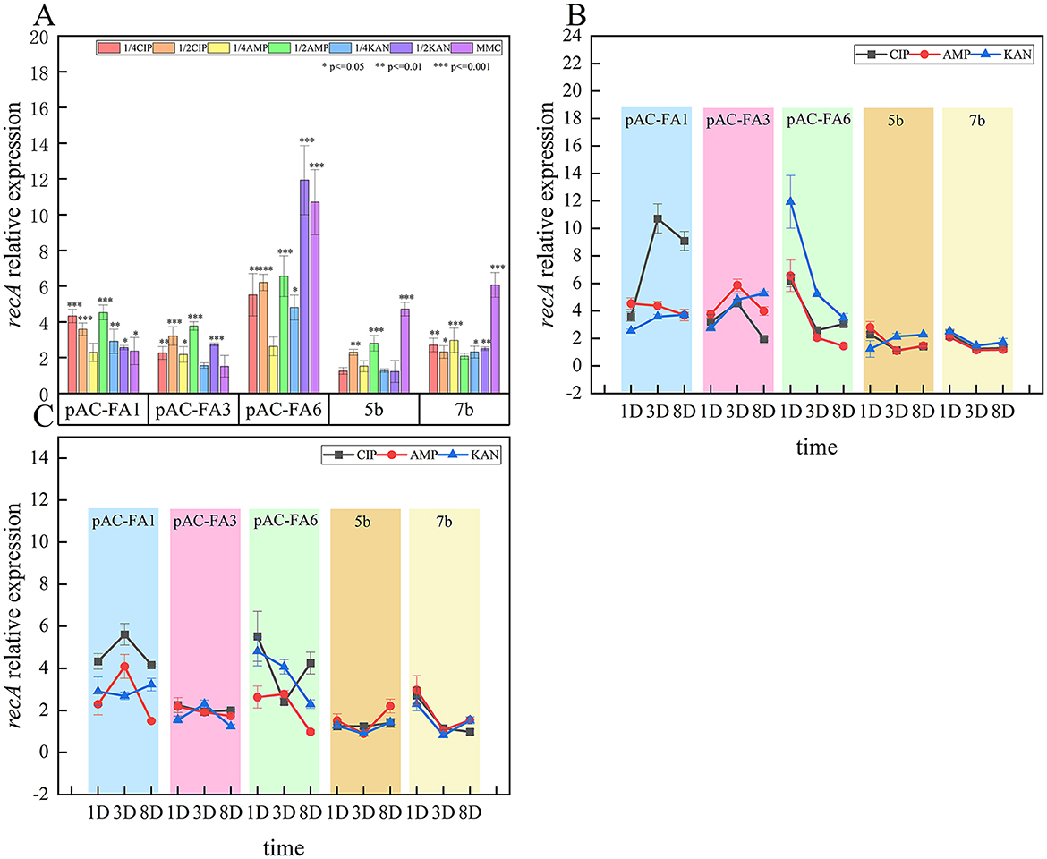 Three panels labeled A, B, and C display graphs of relative expression of recA across various conditions. Panel A shows a bar chart comparing the effects of various conditions, with significant expression differences marked by asterisks. Panels B and C present line graphs over time, labeled 1D, 3D, and 8D, for different conditions, with color coding for CIP, AMP, and KAN. Each panel represents data from constructs pAC-FA1, pAC-FA3, pAC-FA6, 5b, and 7b, with varying levels of expression noted.