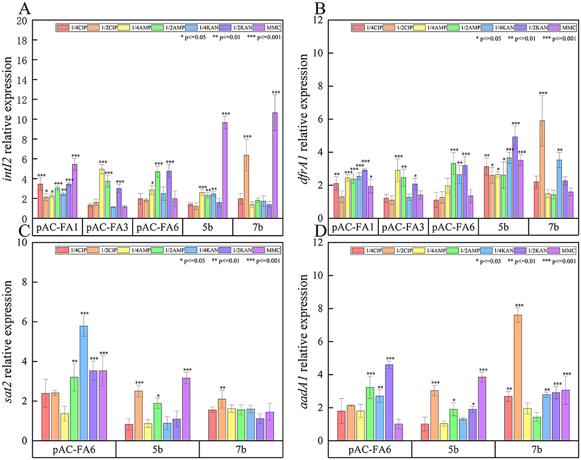 Four bar charts labeled A to D display relative expression levels of genes (intI2, dfrA1, sat2, aadA1) under different conditions, represented by colored bars. Categories include pAC-FA1, pAC-FA3, pAC-FA6, 5b, and 7b. A legend indicates treatments like CIP, AMP, and MMC, with significance levels marked by asterisks.
