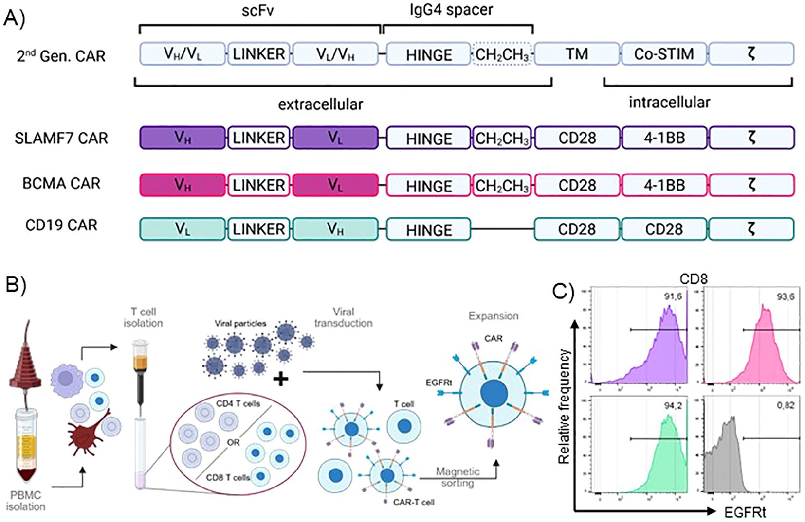 Diagram illustrating CAR T-cell generation and characterization.Panel A shows structures of second-generation CARs for SLAMF7, BCMA, and CD19, highlighting extracellular and intracellular components. Panel B depicts the CAR T-cell production process, including PBMC isolation, viral transduction, T-cell sorting into CD4 or CD8 subsets, and expansion. Panel C presents flow cytometry histograms of CD8 T-cells showing EGFRt expression, with different colors representing variousconditions.