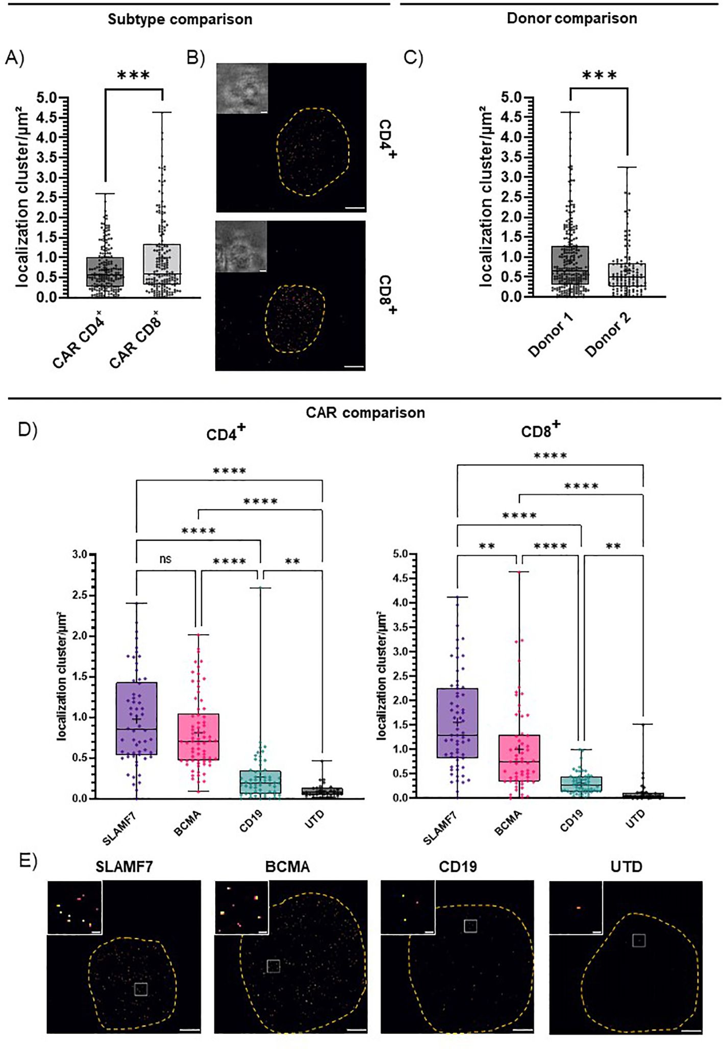 Graphs and microscopic images compare localization clusters in various conditions. A) Box plot shows differences between CAR CD4 and CAR CD8 subtypes. B) Microscopic images illustrate CD4 and CD8 clusters. C) Box plot compares clusters from two donors. D) Dual box plots for CD4 and CD8 across SLAMF7, BCMA, CD19, and UTD, showing statistical significance levels. E) Microscopic images depict clusters for SLAMF7, BCMA, CD19, and UTD with focus insets. Significant differences are indicated by asterisks.