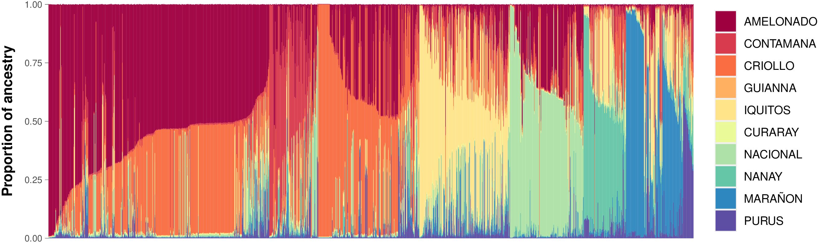 Bar chart depicting the proportion of ancestry across different categories. The categories, represented by various colors, include Amelonado, Contamana, Criollo, Guianna, Iquitos, Curaray, Nacional, Nanay, Marañón, and Purus. The Y-axis denotes the proportion of ancestry ranging from zero to one.