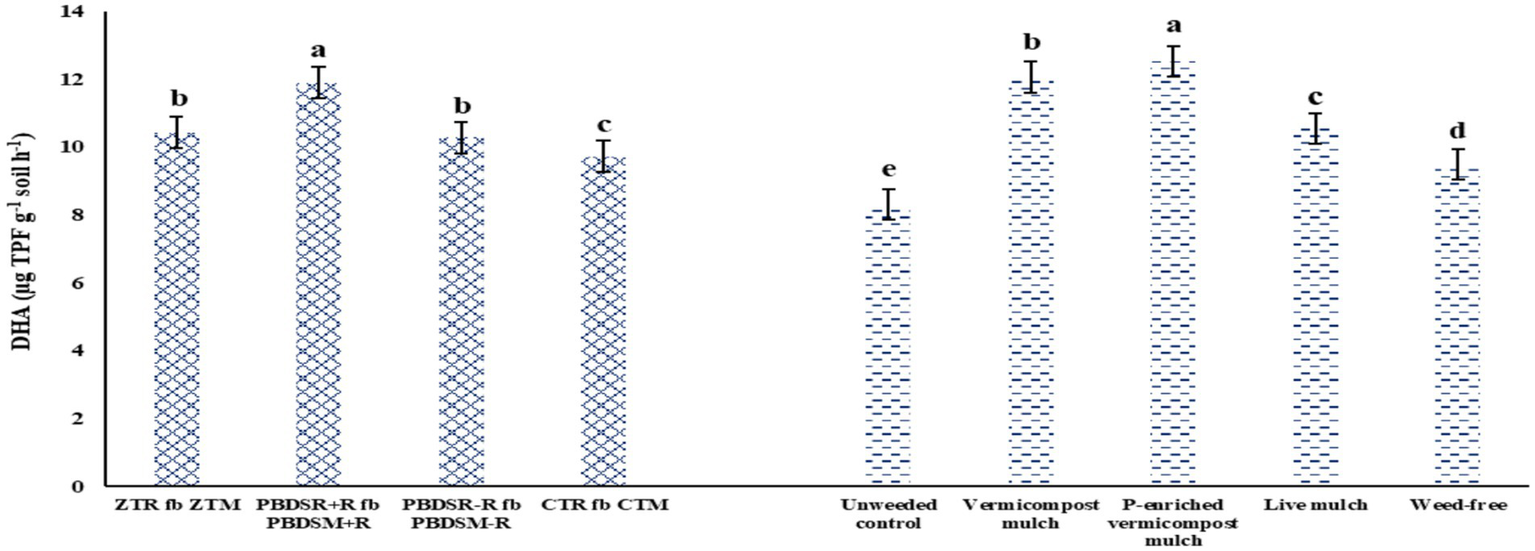 Bar graph comparing DHA levels in different soil treatments. The bars from left to right are ZTR fb ZTM, PBDSR+R fb PBDSM+R, PBDSR-R fb PBDSM-R, CTR fb CTM, unweeded control, vermicompost mulch, P-enriched vermicompost mulch, live mulch, and weed-free. Values range from approximately 4 to 12 micrograms of TPF per gram of soil per hour, with letters indicating statistical significance differences among treatments.