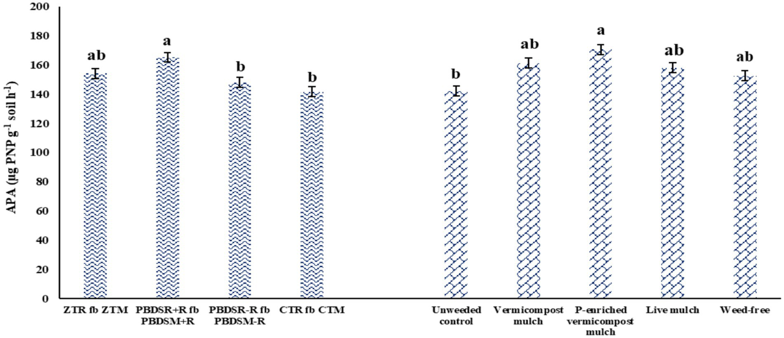 Bar graph displaying alkaline phosphatase activity (APA) in micrograms PNP per gram of soil under various treatment conditions. Bars, labeled with letters for statistical significance, show highest activity in PBDSR+R fb PBDSM+R and P-enriched vermicompost mulch. Other treatments include ZTR fb ZTM, PBDSR-R fb PBDSM-R, CTR fb CTM, unweeded control, vermicompost mulch, live mulch, and weed-free. APA values range from 130 to 160 micrograms. Error bars indicate standard deviation.