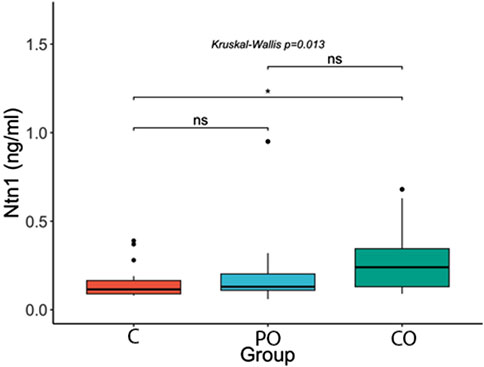 Box plot comparing Ntn1 levels in three groups: C, PO, and CO. Ntn1 levels are measured in nanograms per milliliter. The Kruskal-Wallis test shows a p-value of 0.013, indicating a significant difference. Group C has lower levels compared to CO, marked by an asterisk, while comparisons to PO are not significant.