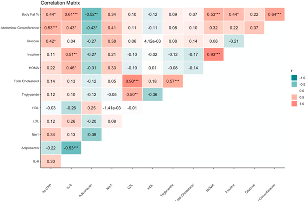 Correlation matrix displaying relationships between various health markers, including body fat percentage, abdominal circumference, glucose, insulin, cholesterol, and others. Color-coded squares indicate correlation strengths, with shades of red representing positive correlations and shades of teal representing negative correlations. Notable positive correlations include total cholesterol with triglycerides, and insulin with abdominal circumference.