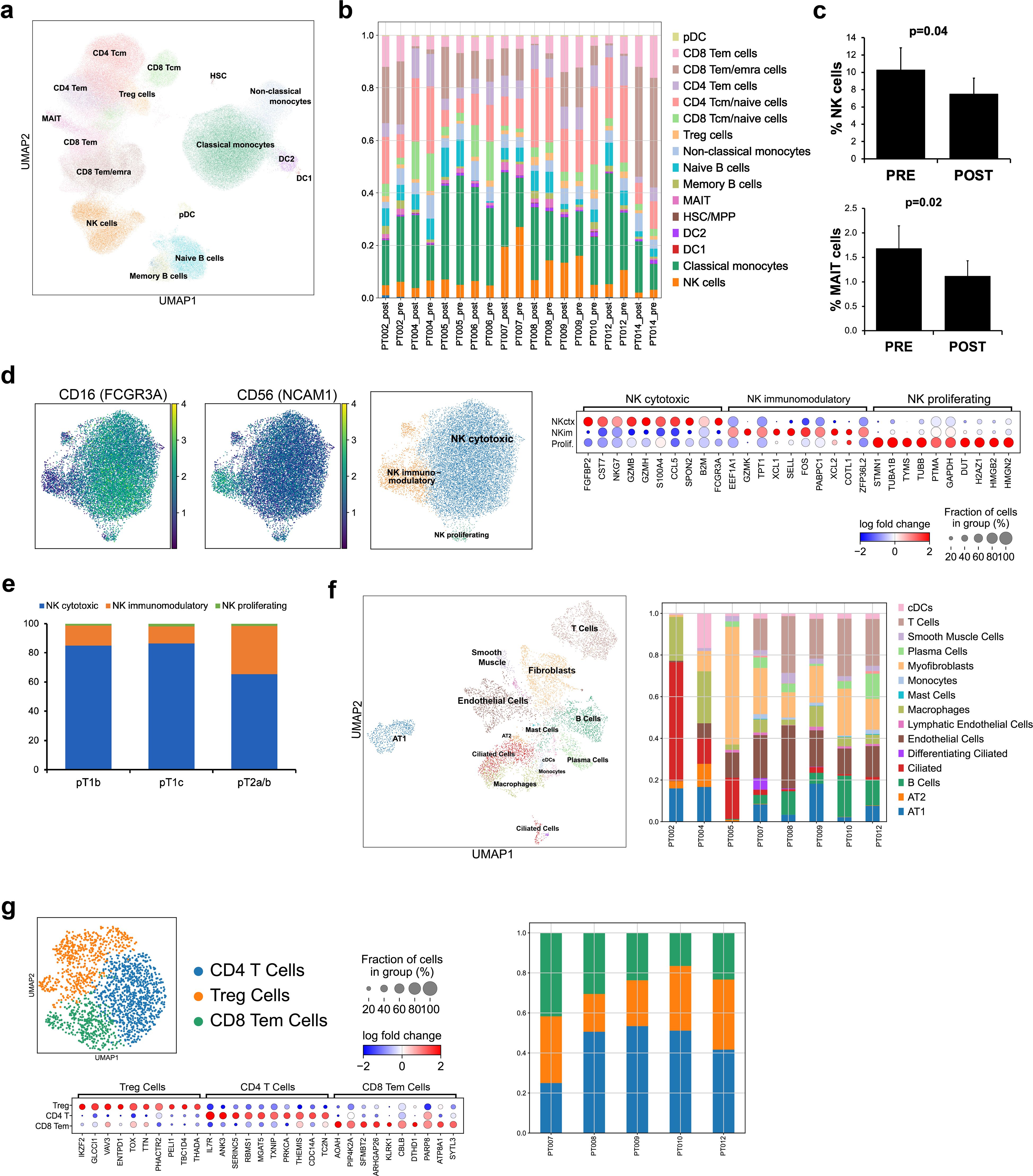 The image contains multiple panels illustrating various data visualizations related to immune cells. Panel (a) shows a UMAP plot with clusters like CD4 and CD8 T cells, monocytes, and others. Panel (b) contains stacked bar charts of cell type proportions over diKerent samples. Panel (c) displays bar graphs comparing percentages of NK and MAIT cells pre- and post-tumor resection surgery. Panel (d) includes UMAP plots and dot plots depicting NK cell subtypes and their marker expressions. Panel (e) shows a stacked bar graph of NK cell types across diKerent conditions. Panel (f) features a UMAPplot and bar charts of mixed cell types. Panel (g) contains UMAP, dot plot, and bar graphsfor CD4, CD8, and Treg cells.