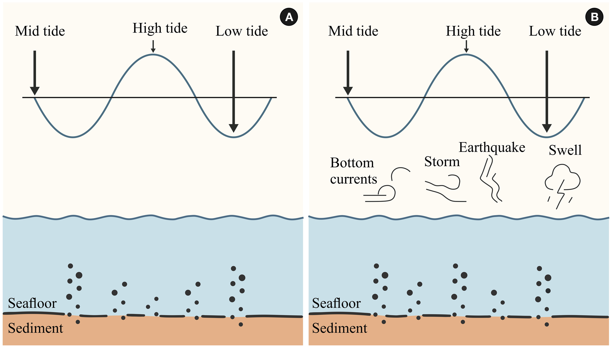 Diagram showing tidal effects on sediment. Panel A illustrates three tidal levels: mid tide, high tide, and low tide, above a seafloor with sediment. Panel B adds factors like bottom currents, storms, earthquakes, and swells affecting sediment in the same tidal scenario.