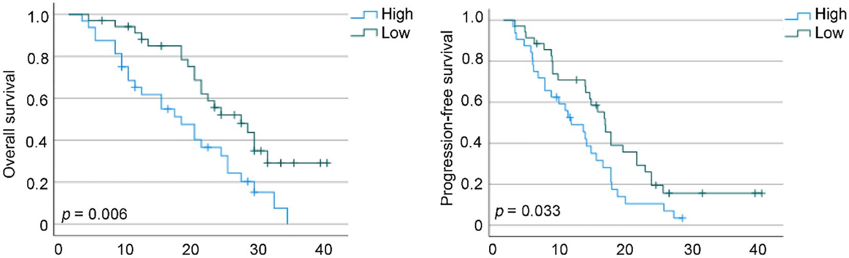 Two Kaplan-Meier survival plots. The left plot shows overall survival with high and low groups' curves diverging, the high group having better survival (p = 0.006). The right plot displays progression-free survival with similar divergence, but less pronounced (p = 0.033). Both have a time axis up to forty and survival probability from zero to one.