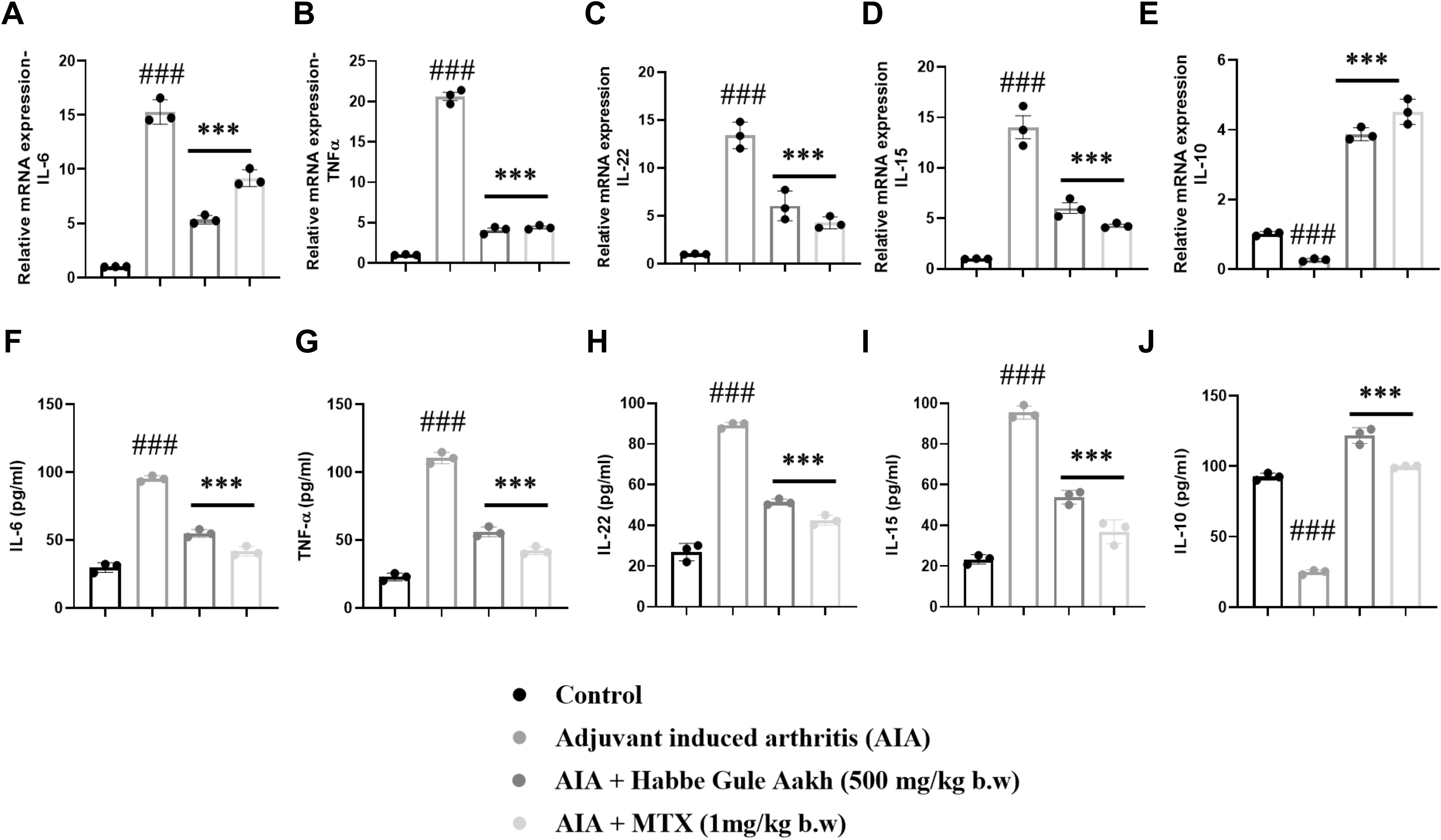 Bar graphs A to J display relative mRNA expression and protein levels of cytokines (IL-6, TNF-α, IL-22, IL-15, IL-10) in various groups: Control, adjuvant-induced arthritis (AIA), and AIA with Habbe Gule Aakh or MTX treatment. Each graph shows significant differences, indicated by markers (###, ***) for statistical relevance in expression levels across conditions.