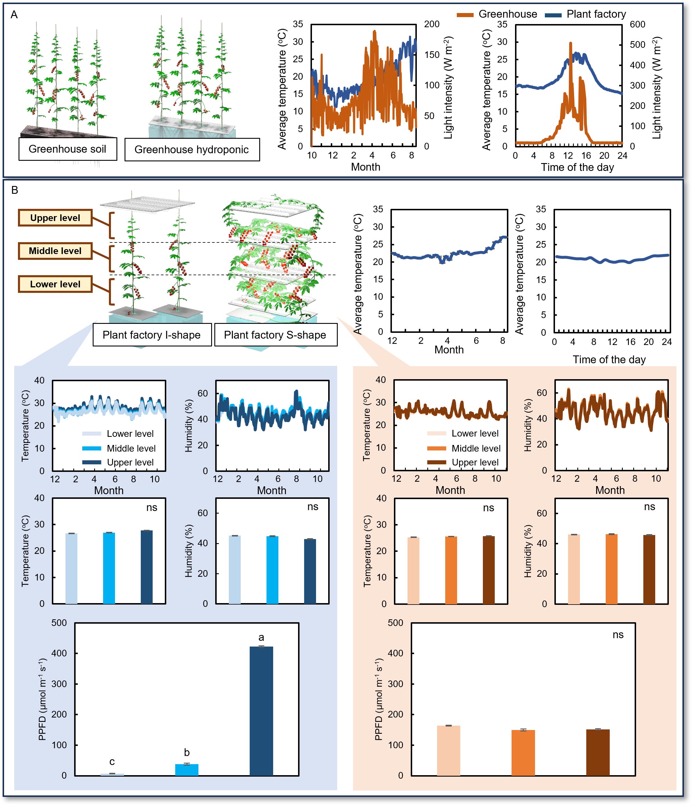 Comparison of growth conditions between greenhouse and plant factory systems. Section A displays images of plants in greenhouse soil and hydroponic settings, with graphs showing average temperature and light intensity variations by month and time of day. Section B illustrates plant factory setups with I-shape and S-shape structures. Graphs indicate temperature, humidity, and photosynthetic photon flux density (PPFD) across upper, middle, and lower levels over time. Bar charts compare conditions, highlighting significant differences noted with letters and indicating non-significant (ns) results for certain metrics.