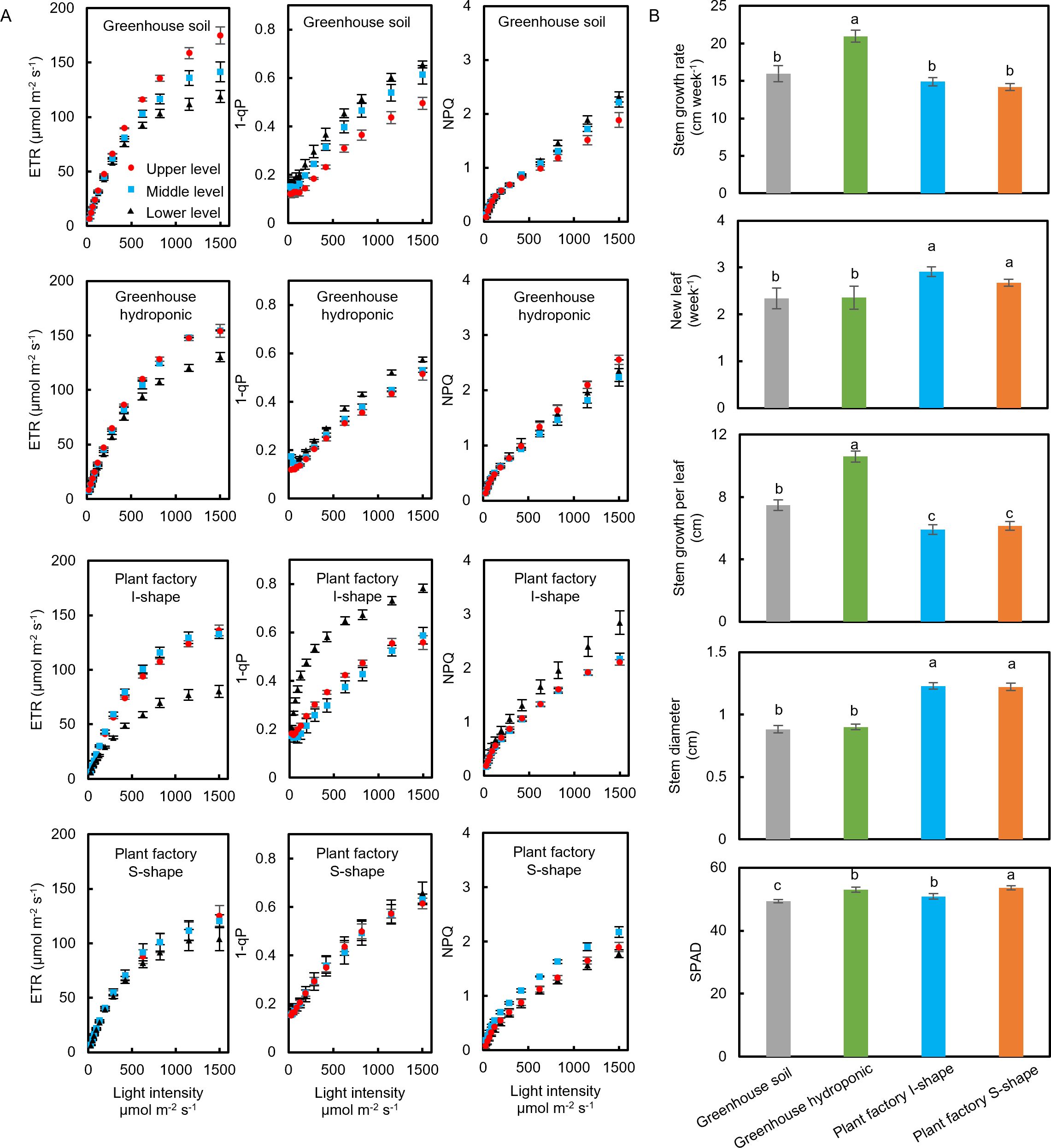 Panel A features twelve graphs showing the relationship between light intensity and three parameters—ETR, 1-qP, and NPQ—across different growing conditions: greenhouse soil, greenhouse hydroponic, and plant factory with I-shape and S-shape. Panel B consists of five bar charts presenting stem growth rate, new leaf number, stem growth per leaf, stem diameter, and SPAD, compared across the same growing conditions, with statistical significance indicated by different letters.