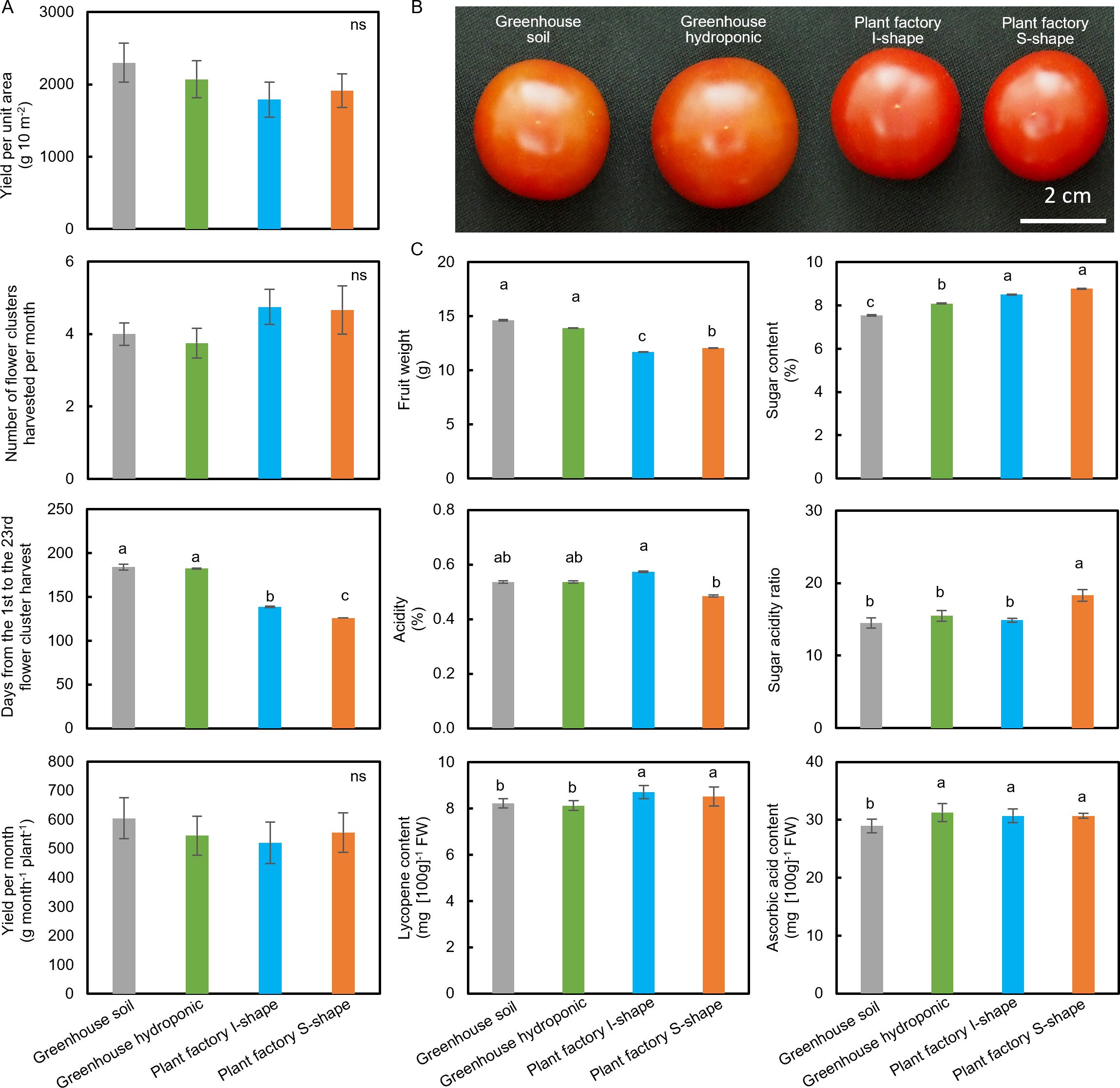 Graphs compare tomato yield, fruit weight, sugar content, acidity, sugar-acidity ratio, lycopene, and ascorbic acid from greenhouse soil, greenhouse hydroponic, and plant factories with I-shape and S-shape. A photo shows tomatoes from each method, with greenhouse tomato appearing to be larger than plant factory tomato.