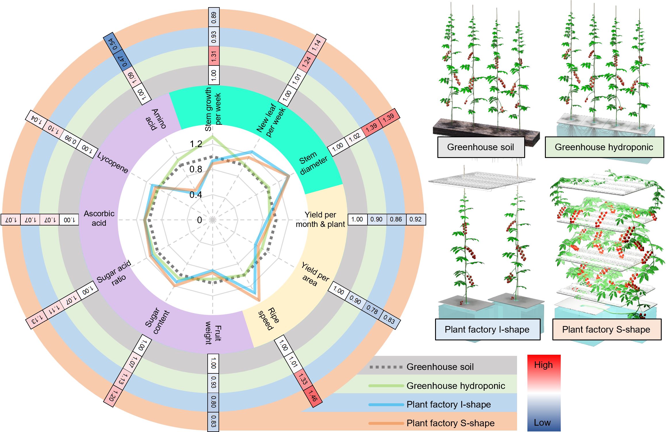 A radar chart compares four cultivation systems: greenhouse soil, greenhouse hydroponic, plant factory I-shape, and plant factory S-shape. Variables include stem growth, new leaves, stem diameter, yield, ripe speed, and nutrient content. The right side shows 3D models of the four cultivation methods. A color gradient from red to blue indicates high to low values.