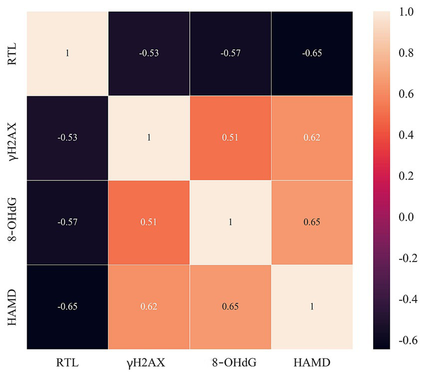 Heatmap showing correlation values between RTL, γH2AX, 8-OHdG, and HAMD. Colors range from dark purple to light peach, with values from 1 to -0.65. High correlations at 1 on the diagonal; notable correlations include -0.65 between RTL and HAMD, and 0.65 between 8-OHdG and HAMD.