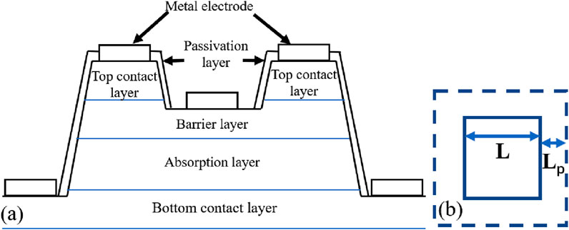 Cross-sectional diagram of a layered semiconductor structure. Layers include a metal electrode, passivation layer, top contact layer, barrier layer, absorption layer, and bottom contact layer. A separate diagram shows rectangular dimensions labeled L and Lp.