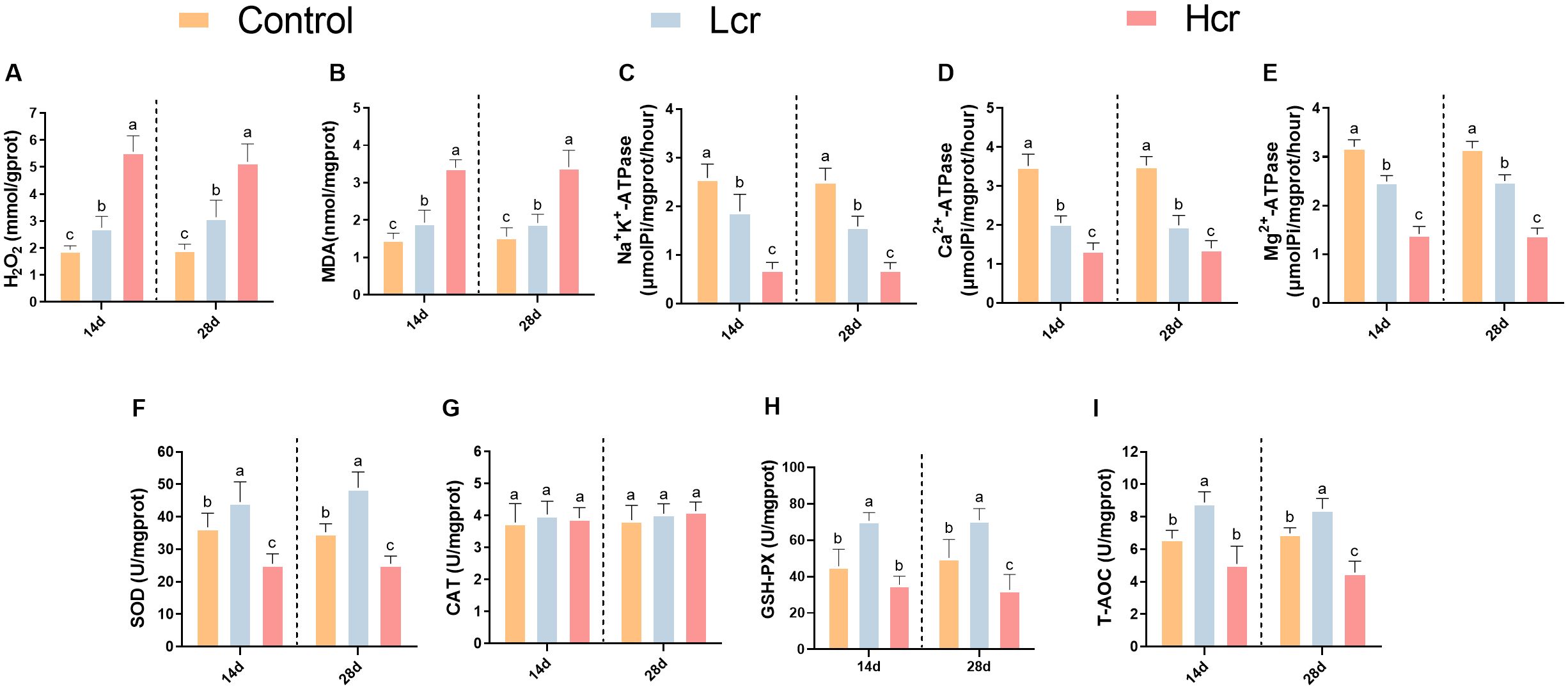Bar charts labeled A to I compare three treatments: Control (orange), Lcr (blue), and Hcr (red) across two time points (14 and 28 days). The parameters include H2O2, MDA, Na+K+-ATPase, Ca2+-ATPase, Mg2+-ATPase, SOD, CAT, GSH-PX, and T-AOC, showing variations in values with statistical significance indicated by letters above bars.