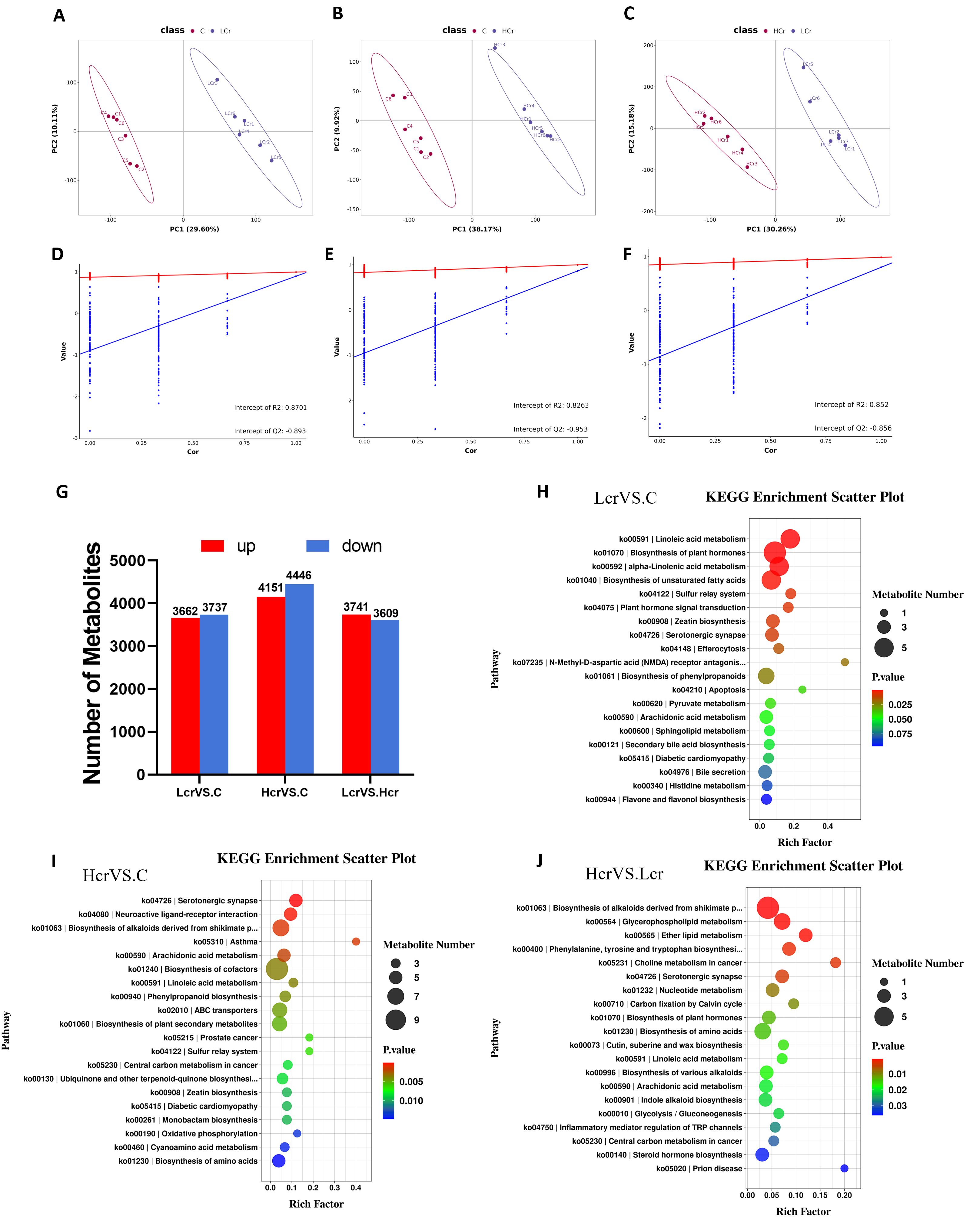 Charts and graphs display data analysis results. Panels A, B, and C show PCA scatter plots with different class groups differentiated by color. Panels D, E, and F present correlation plots with intercept values. Panel G is a bar chart comparing the number of metabolites upregulated or downregulated across different comparisons. Panels H, I, and J are KEGG enrichment scatter plots displaying metabolic pathways, with metabolite numbers represented by circle size and p-values indicated by color gradient.