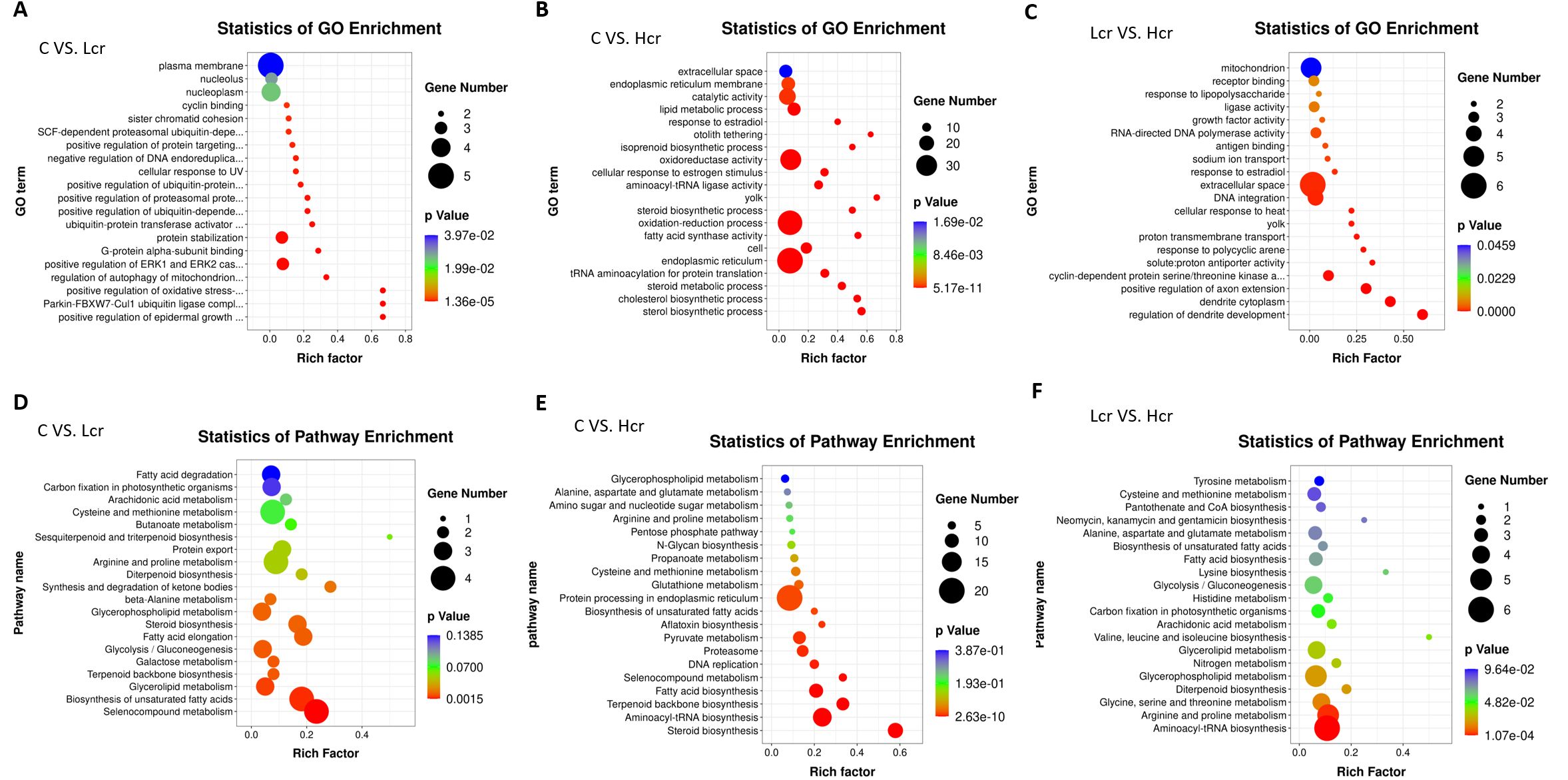 Six bubble charts display GO and pathway enrichment statistics across different comparisons: C vs. Lcr, C vs. Hcr, and Lcr vs. Hcr. Each chart shows various GO terms or pathways on the y-axis and the Rich Factor on the x-axis, with bubble size representing gene numbers and color indicating p-values. Panels A, B, and C focus on GO enrichment, while D, E, and F show pathway enrichment. Charts reveal significant enriched terms and pathways in each comparison.