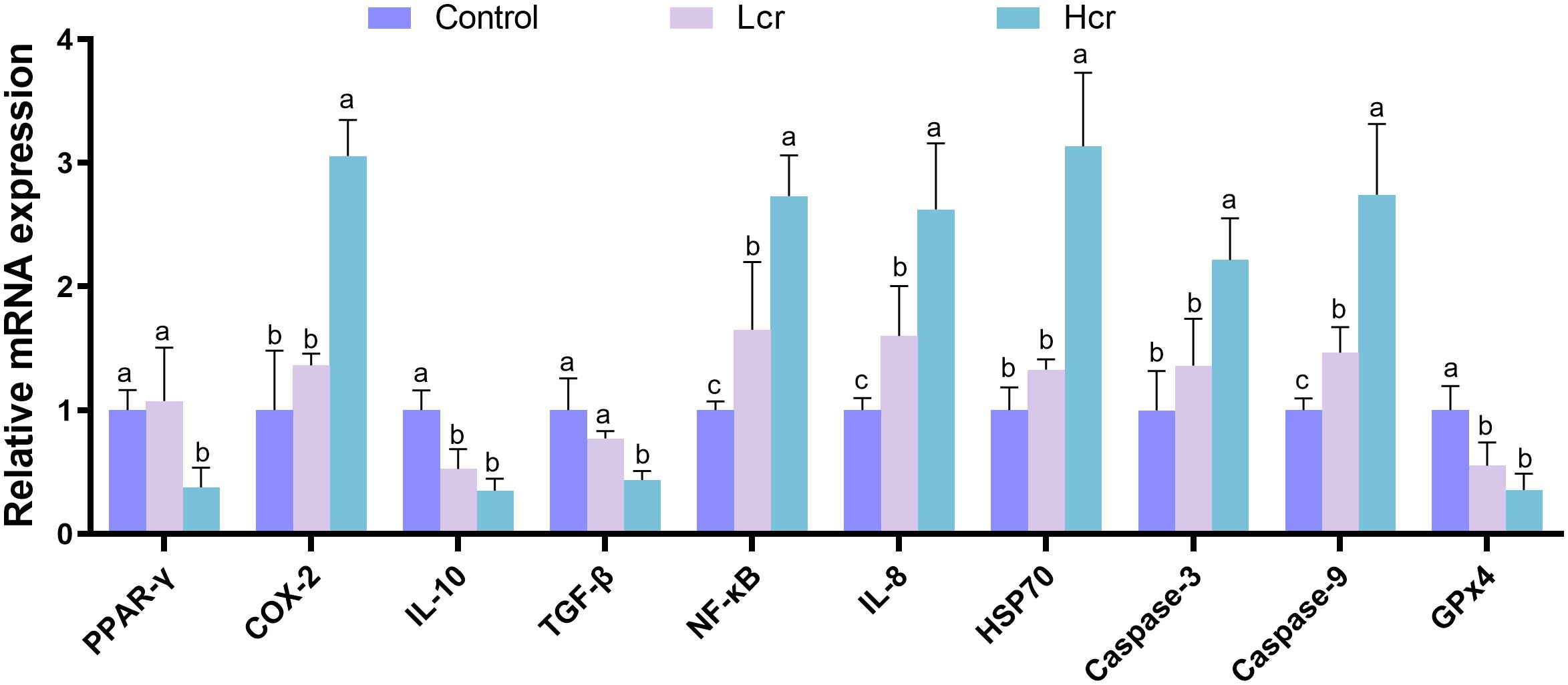 Bar graph showing relative mRNA expression levels for PPAR-γ, COX-2, IL-10, TGF-β, NF-κB, IL-8, HSP70, Caspase-3, Caspase-9, and GPx4. Three groups are compared: Control (blue), Lcr (purple), and Hcr (teal), with error bars and significance denoted by letters a, b, and c above the bars.