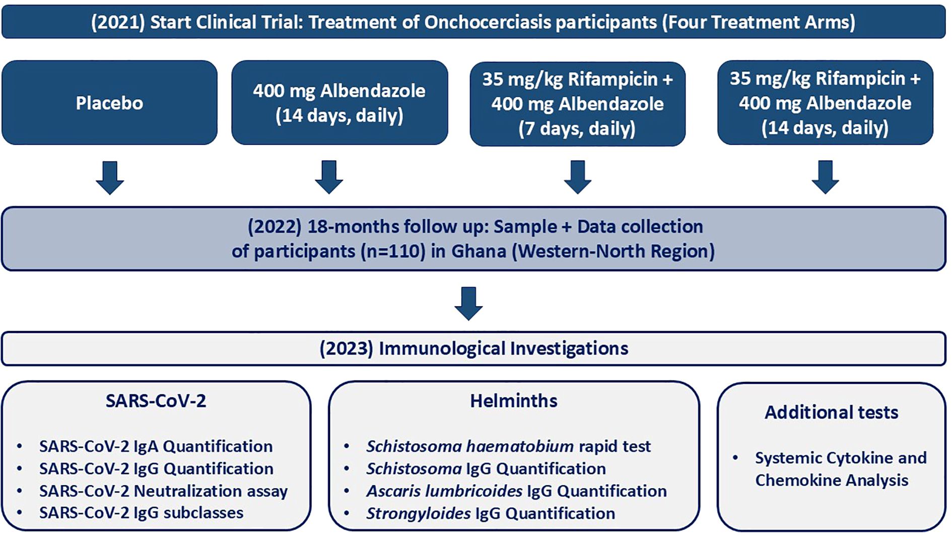 Flowchart depicting a clinical trial on Onchocerciasis treatment starting in 2021 with four treatment arms: Placebo, 400 mg Albendazole for 14 days, 35 mg/kg Rifampicin with 400 mg Albendazole for 7 days, and 14 days. An 18-month follow-up in 2022 involved sample and data collection from 110 participants in Ghana. In 2023, immunological investigations include SARS-CoV-2 and Helminths tests, and additional cytokine and chemokine analysis.