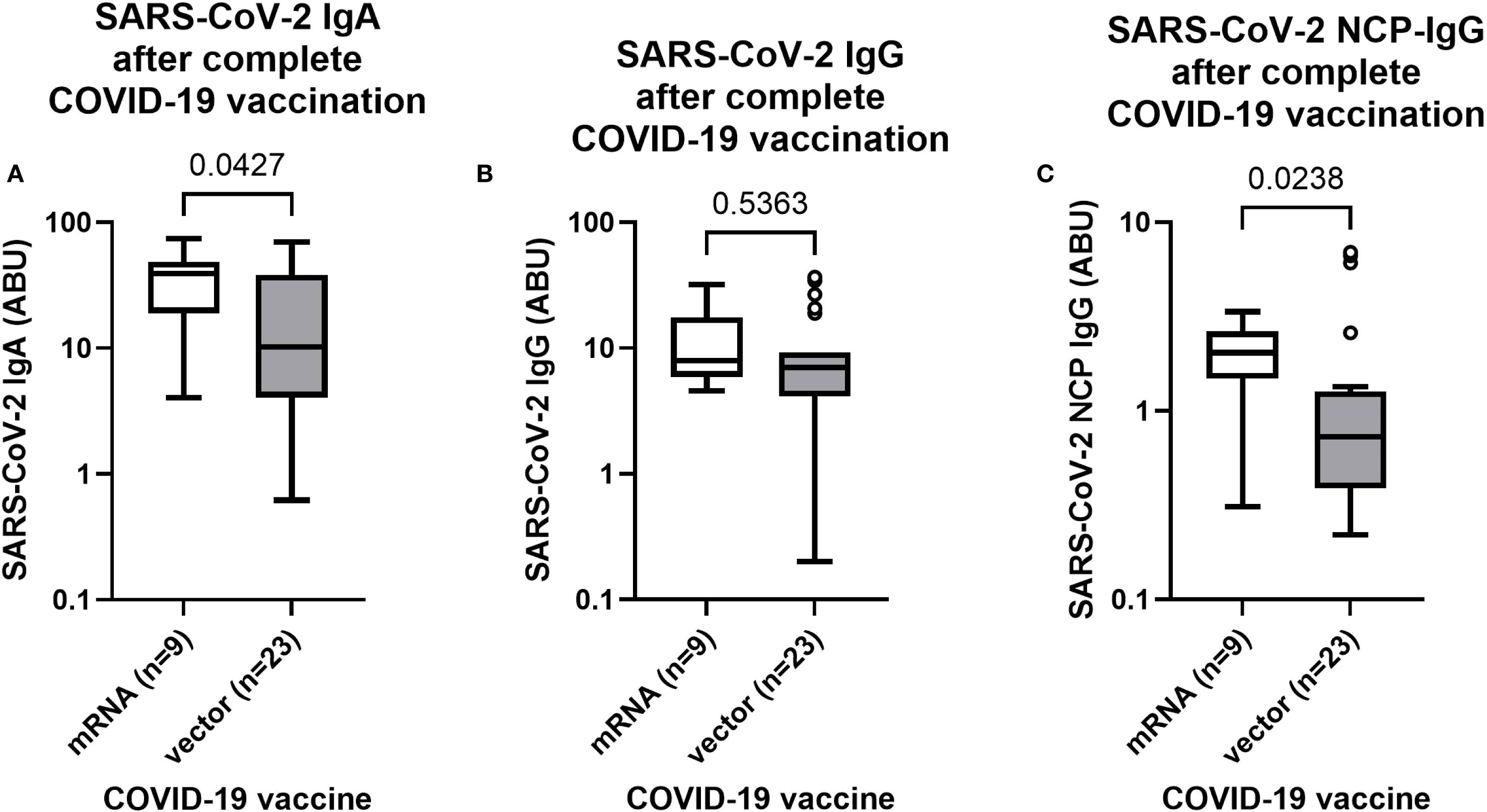 Box plots comparing antibody levels after complete COVID-19 vaccination. Panel A shows SARS-CoV-2 IgA levels, Panel B shows SARS-CoV-2 IgG, and Panel C shows SARS-CoV-2 NCP-IgG. Each panel compares mRNA (n=9) with vector vaccines (n=23). Statistically significant differences are indicated, with p-values of 0.0427 in A and 0.0238 in C. Panel B shows no significant difference with a p-value of 0.5363. The y-axis uses a logarithmic scale for AU (ABU).
