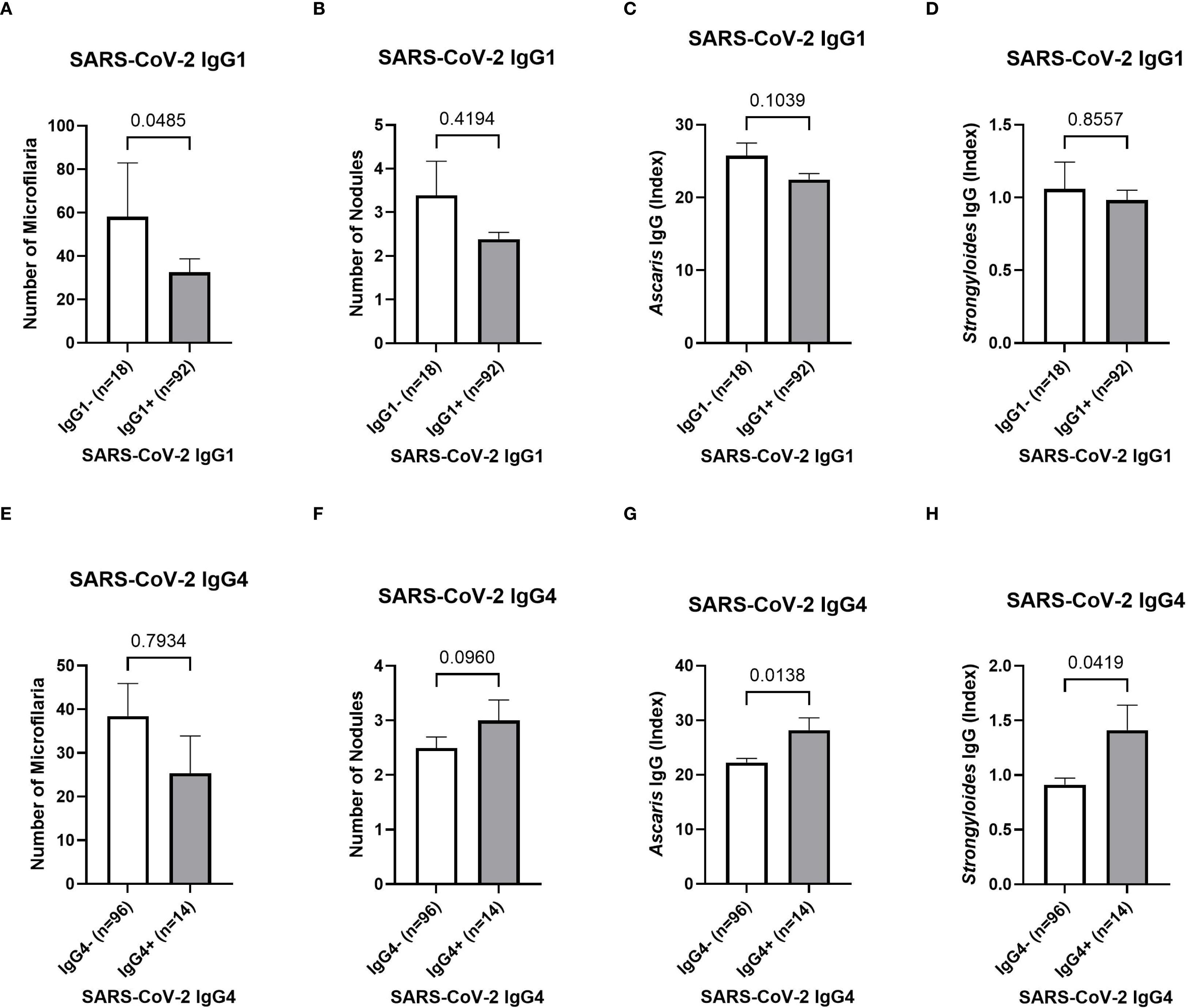 Eight bar graphs compare SARS-CoV-2 IgG1 and IgG4 levels between two groups: IgG negative (white bars) and IgG positive (gray bars). Graphs A and E show the number of microfilariae, B and F display the number of nodules, C and G present Ascaris IgG index, and D and H show Strongyloides IgG index. Each graph includes p-values indicating statistical significance.