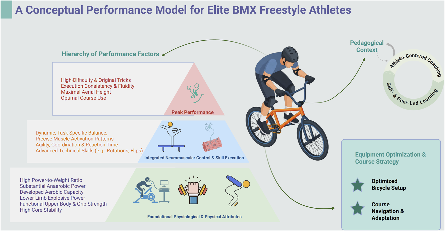 Comparative physiological profile model illustration for elite action sports. Features core capabilities: lower-limb explosive power, upper-body and grip strength, core stability, dynamic balance, power-to-weight ratio. Sports include BMX freestyle, artistic gymnastics, skateboarding, trampoline, and freestyle skiing, each with different dot ratings for capabilities.
