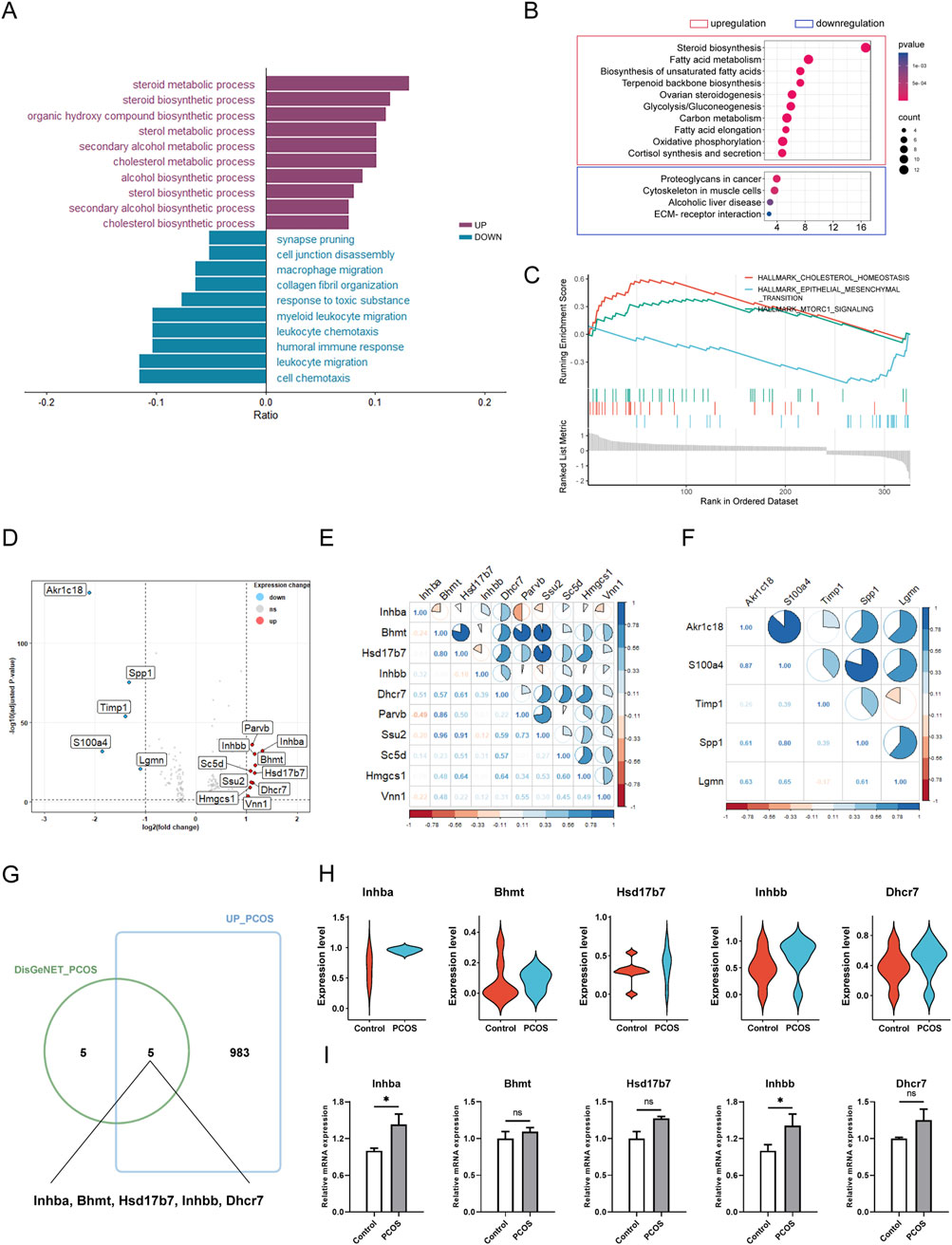 The image consists of multiple panels displaying various data visualizations related to gene expression and biological processes. Panel A shows a bar chart with upregulated and downregulated processes. Panel B features a dot plot indicating pathways affected by upregulation and downregulation, with significance indicated by dot size. Panel C presents a line graph with enrichment scores across different processes. Panel D displays a scatterplot for differential expression analysis. Panel E and F include correlation matrices with pie charts. Panel G is a Venn diagram showing gene overlap. Panels H and I show violin plots and bar charts for expression levels in control versus PCOS groups.