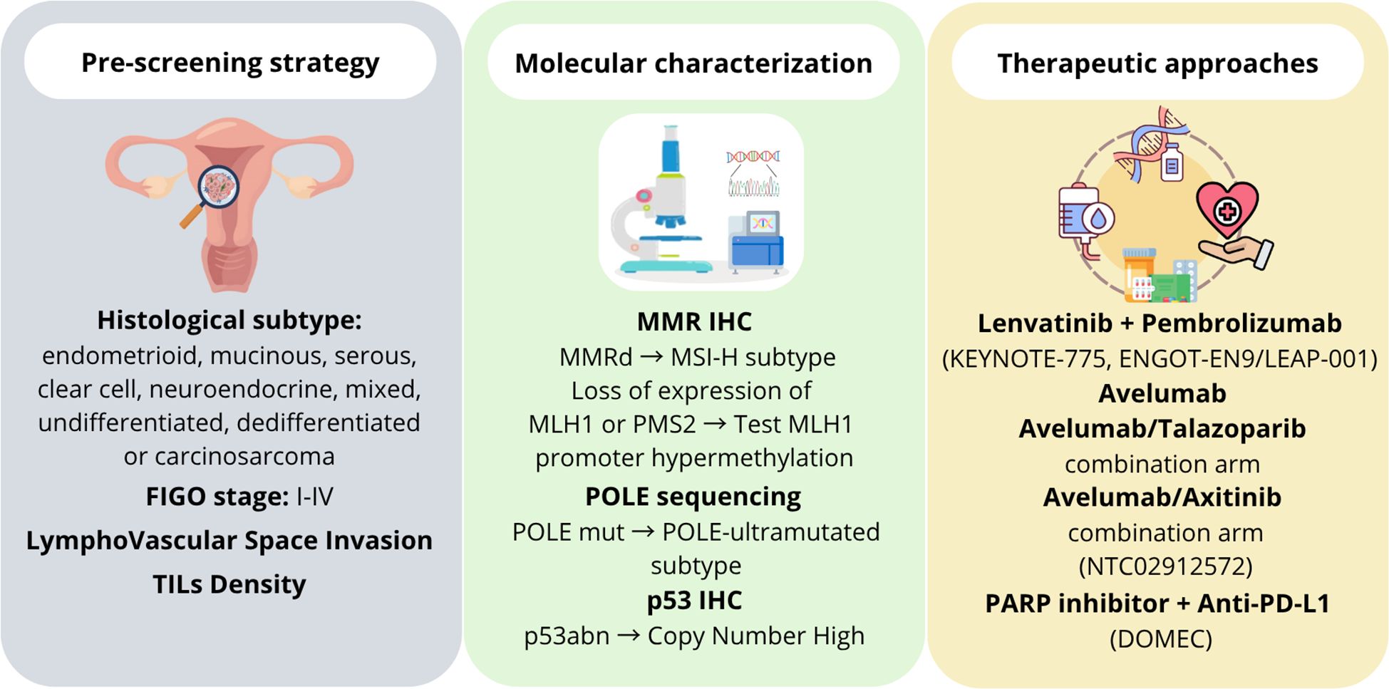 Illustration depicting a three-part strategy for cancer screening and treatment. The first part, “Pre-screening strategy,” outlines histological subtypes and stages. The second, “Molecular characterization,” details methods like MMR IHC, POLE sequencing, and p53 IHC. The third, “Therapeutic approaches,” lists treatments including Lenvatinib, Pembrolizumab, Avelumab, and others. Icons illustrate each section, such as a uterus for pre-screening, a microscope for molecular characterization, and medical symbols for therapeutic approaches.