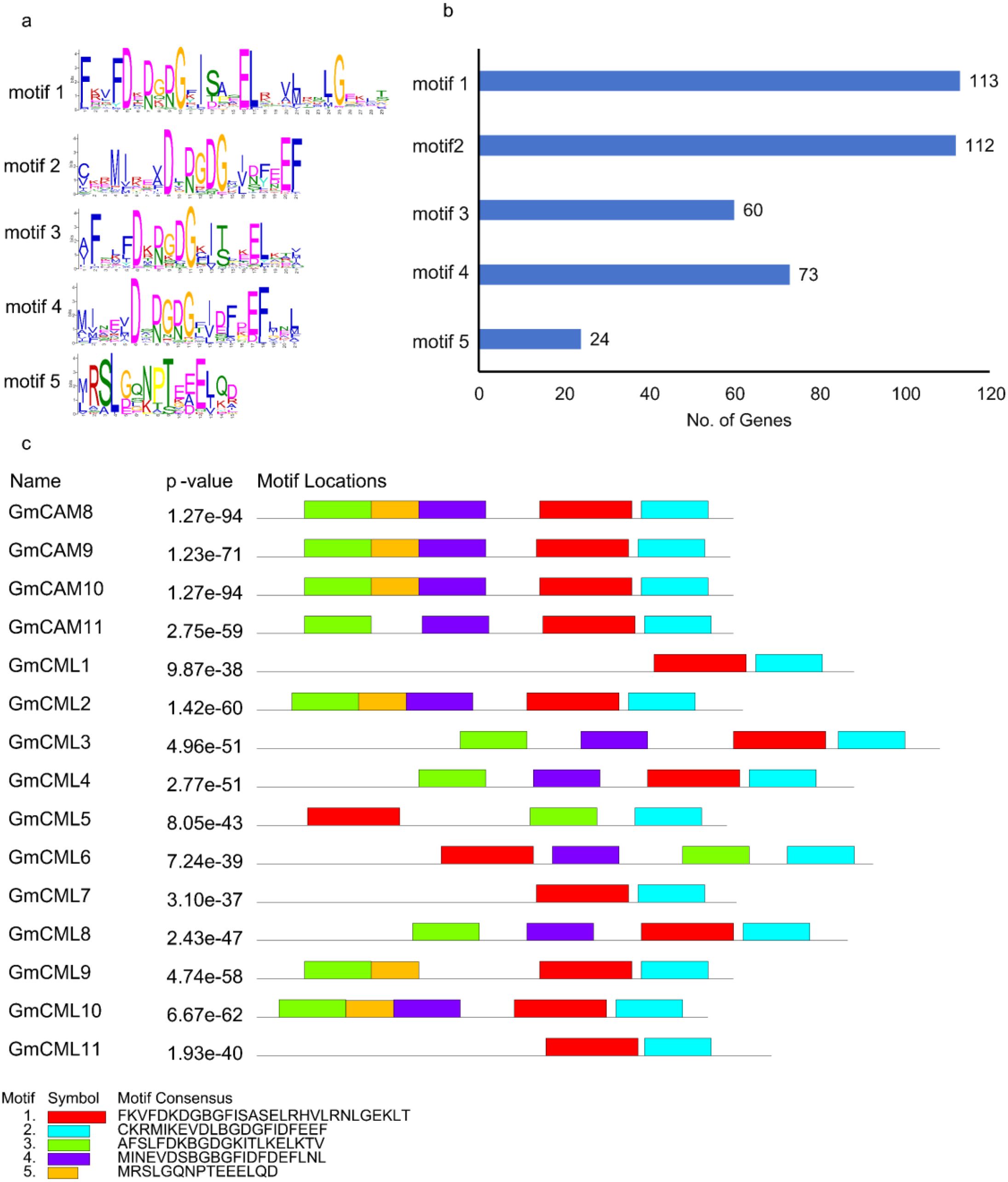 Diagram with three panels. Panel a shows sequence logos for five motifs. Panel b is a bar chart displaying the number of genes associated with each motif, ranging from 24 to 113. Panel c lists gene names with corresponding p-values and motif locations, using color-coded bars to indicate motif presence.
