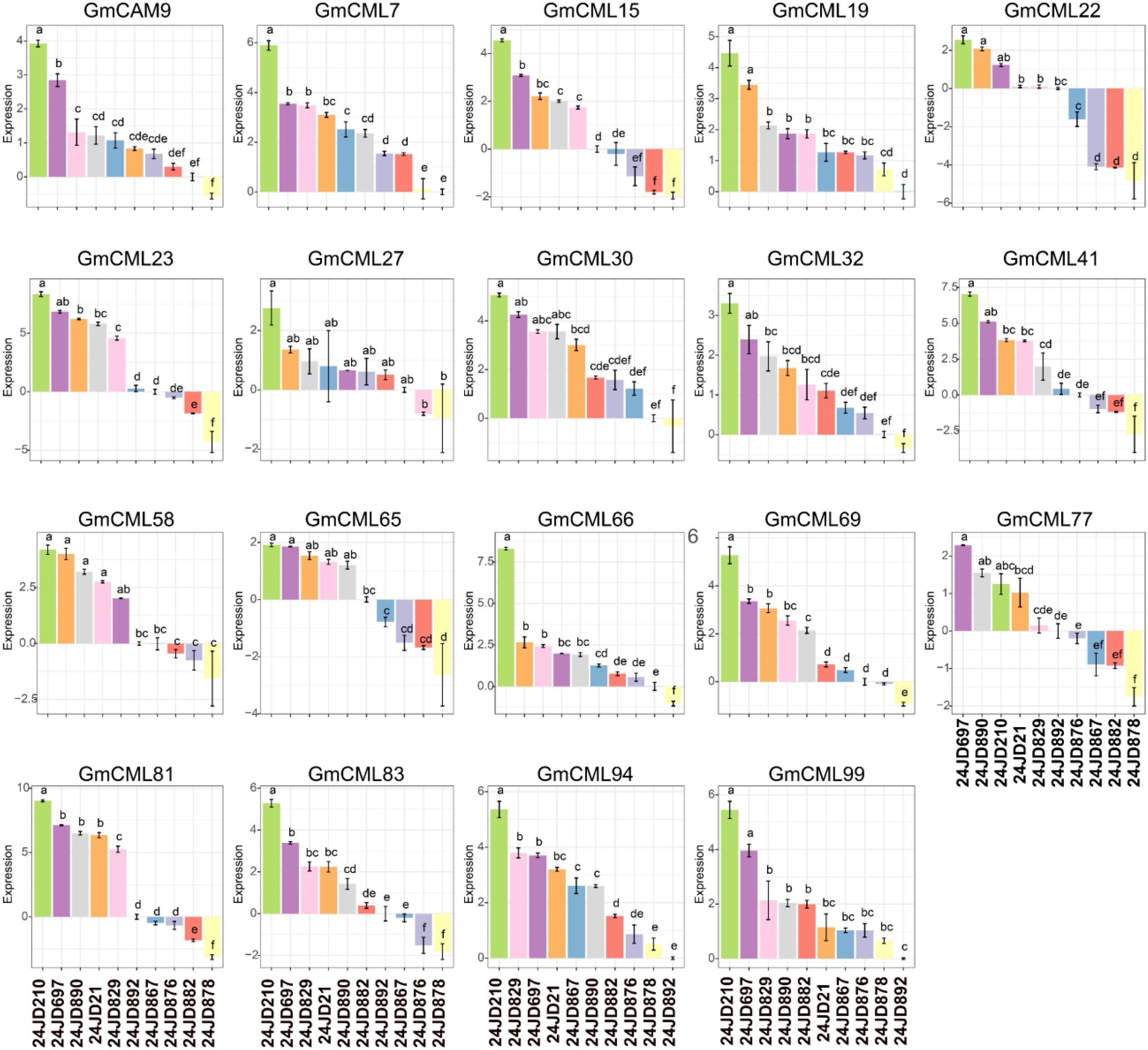 Bar charts display expression levels of various GmCAM and GmCML genes. Each chart shows different data sets on the x-axis and expression levels on the y-axis. Labels above bars indicate statistical group differences. Charts are organized in a grid format to compare gene expressions.