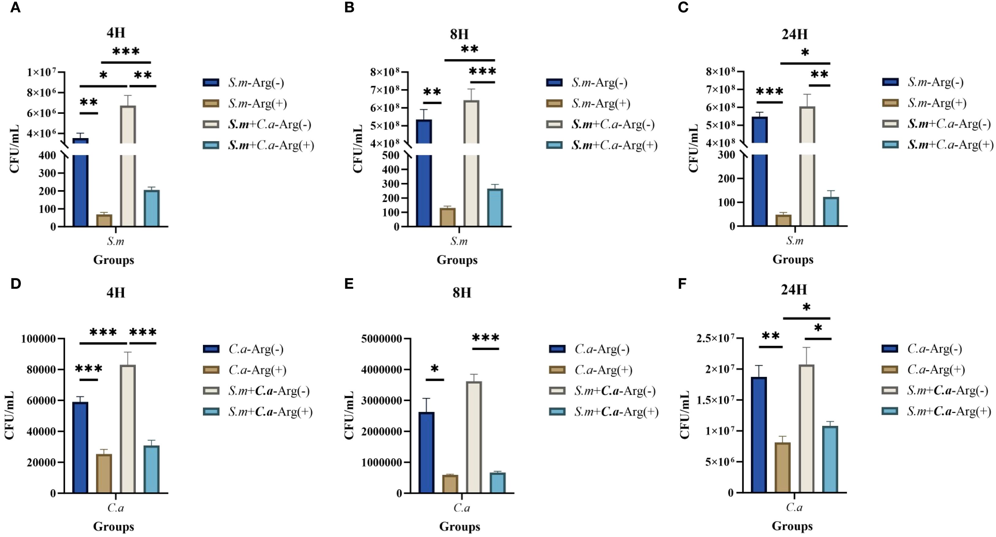 Bar charts labeled A to F compare colony-forming units per milliliter (CFU/mL) at 4, 8, and 24 hours for both S.m and C.a between groups with and without arginine. Significant differences between groups are marked with asterisks.
